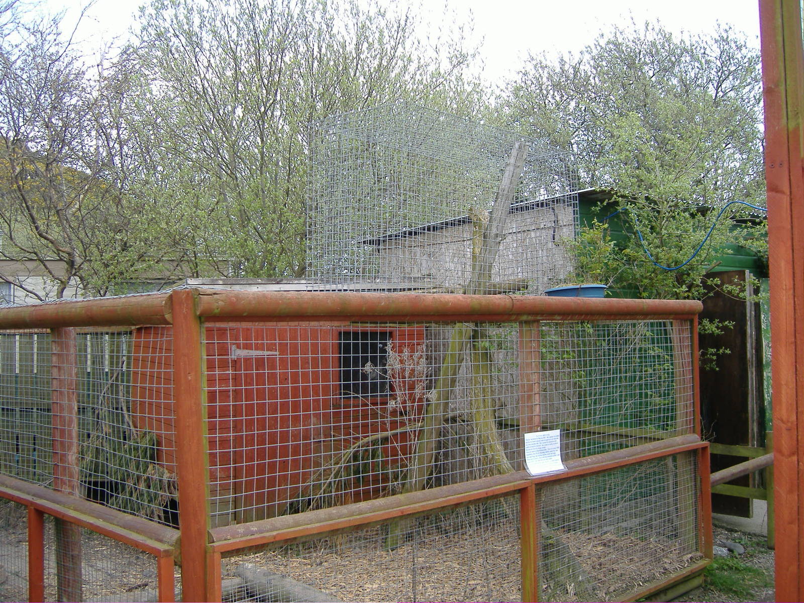 Red Fox cage Animalarium