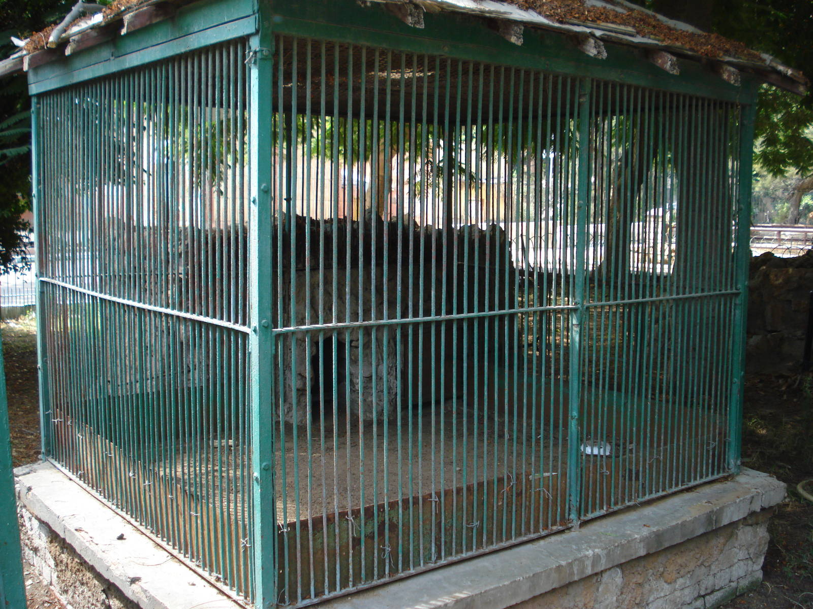 Red fox cage