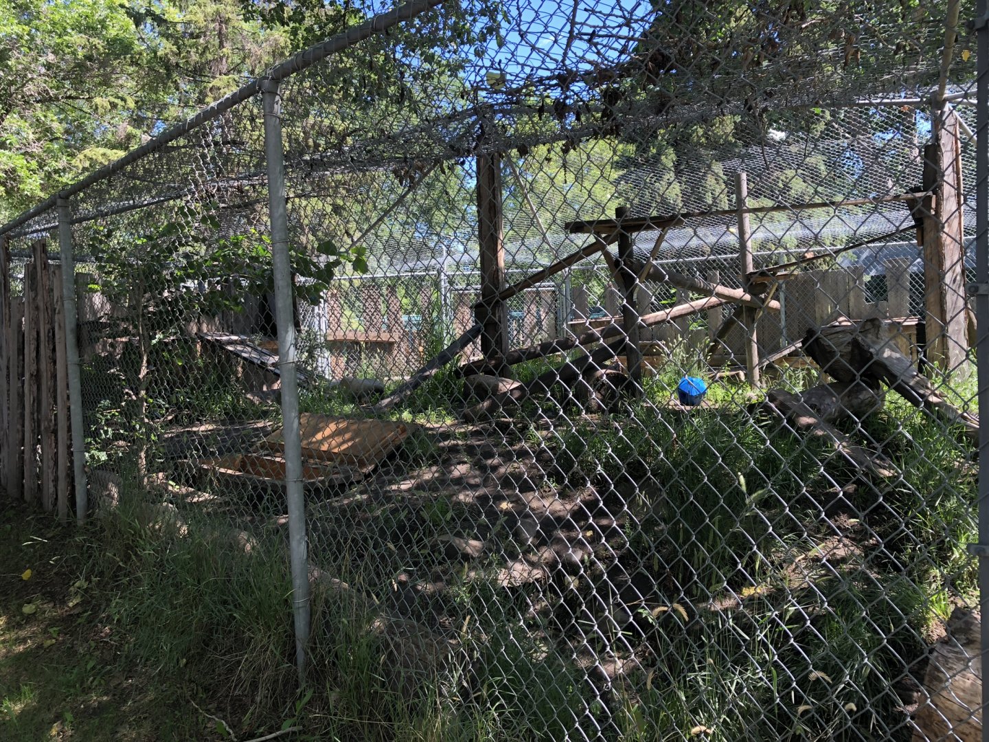 Red Fox Enclosure at Edmonton Valley Zoo (July 2022)