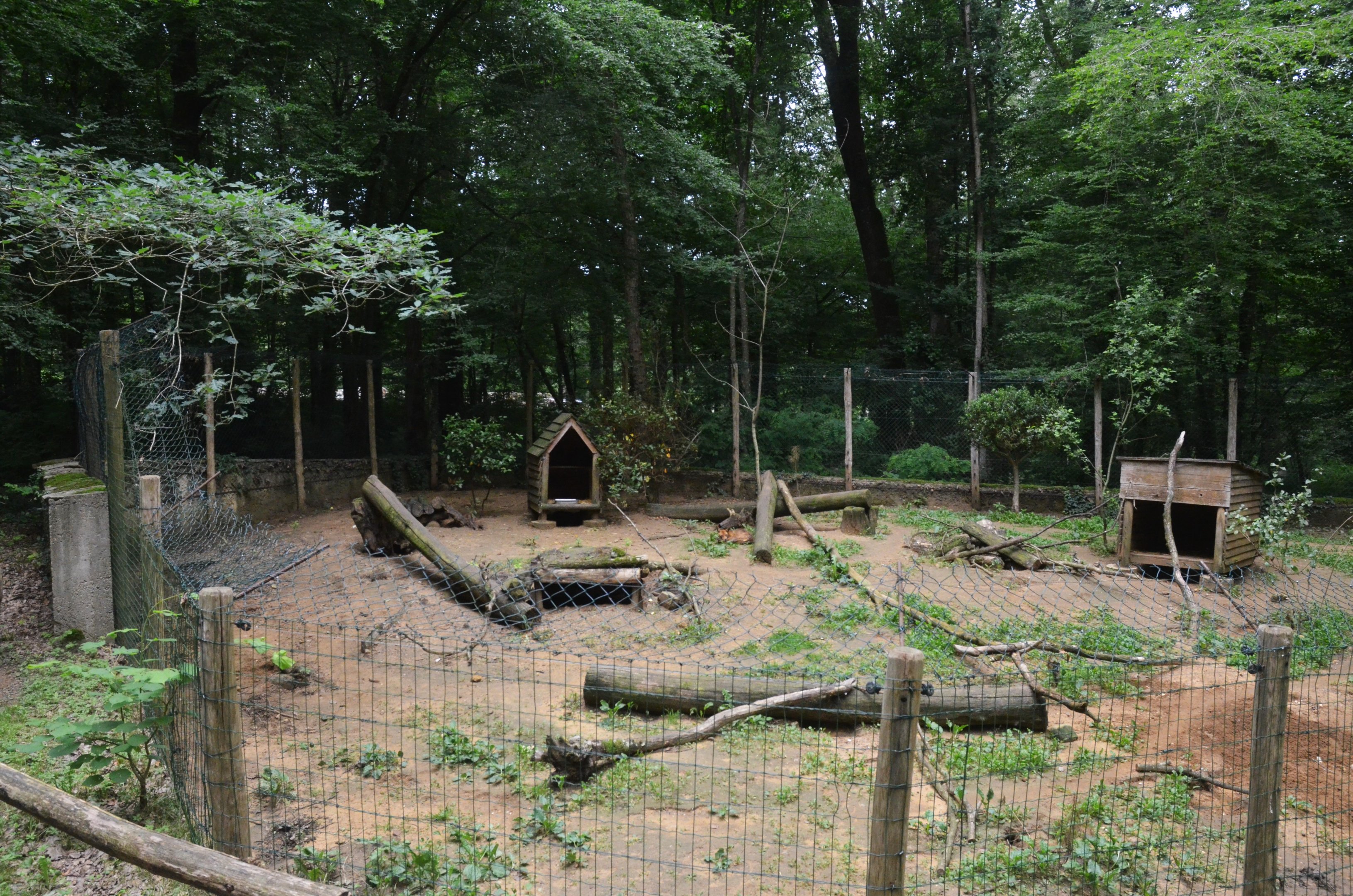 Red Fox Enclosure at Pescheray, 13/06/18