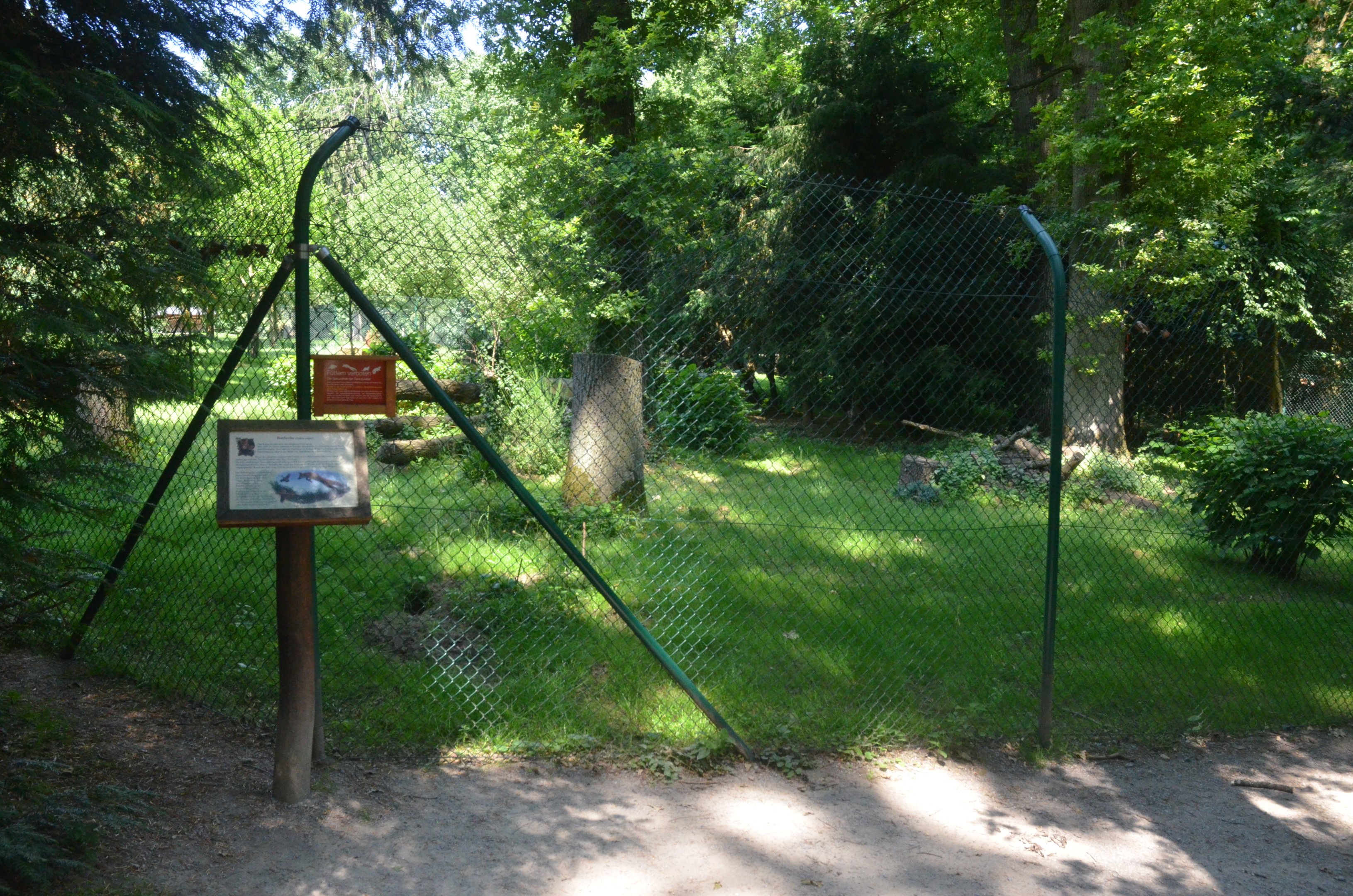Red Fox Enclosure at Wildpark Grafenberger Wald, 23/06/2019
