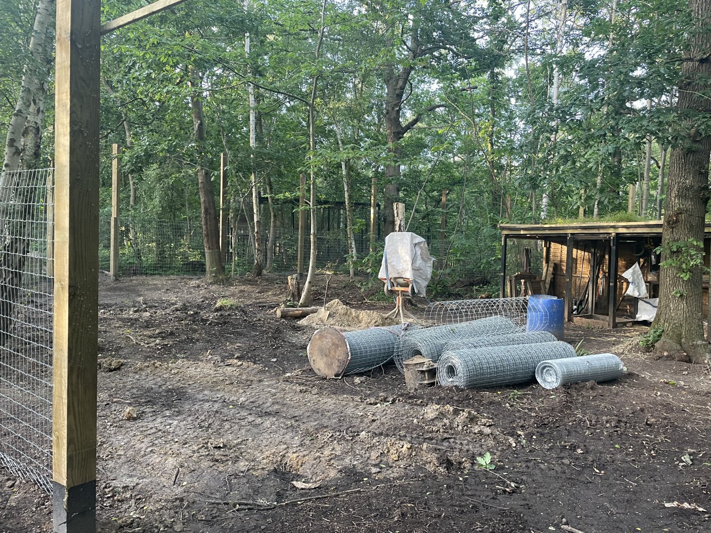 Red Fox Enclosure Development (1)