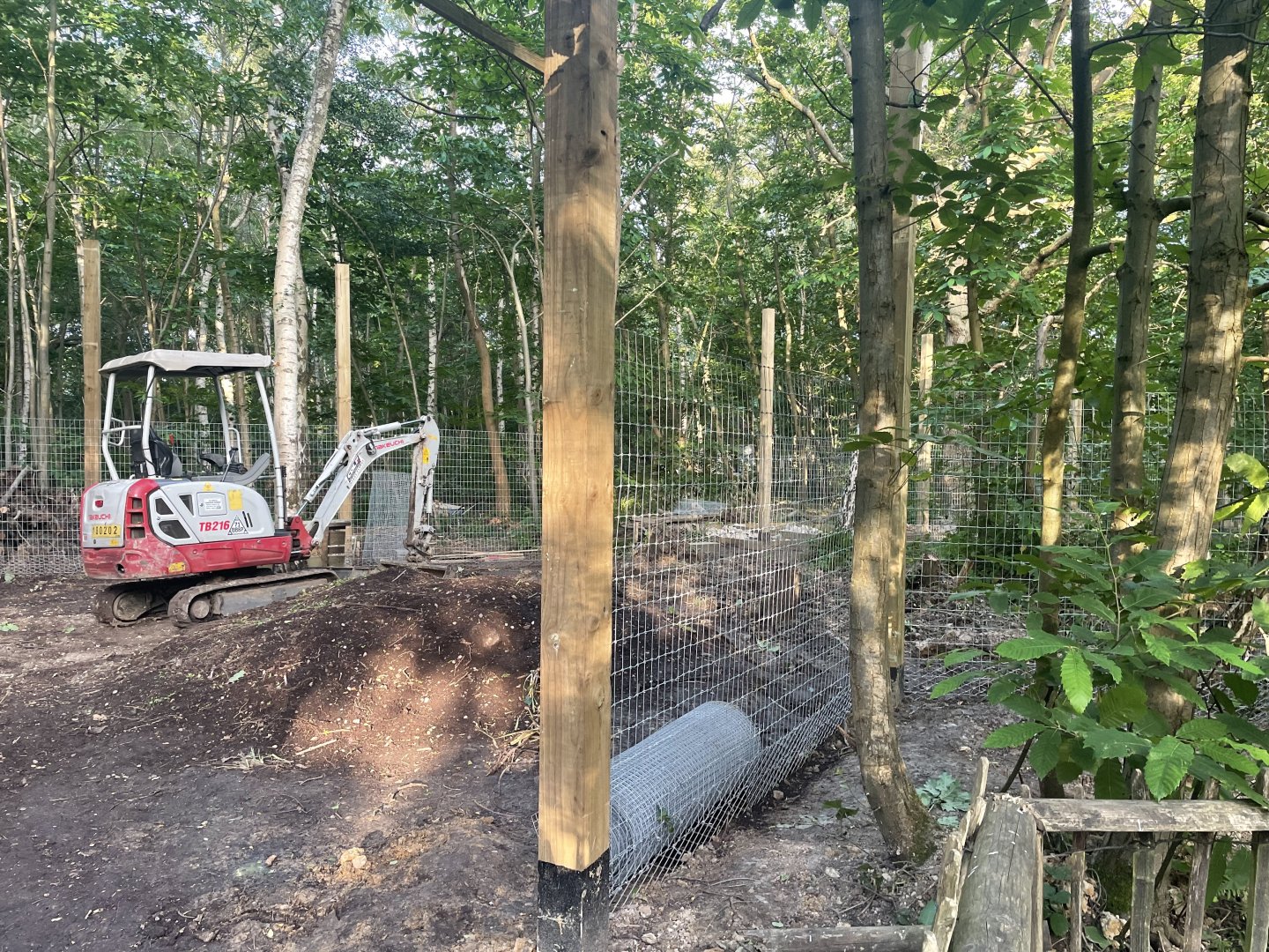 Red Fox Enclosure Development (2)