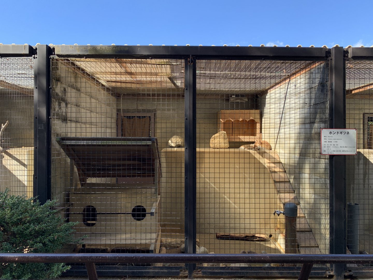 Red Fox Enclosure(Himeji City Zoo)