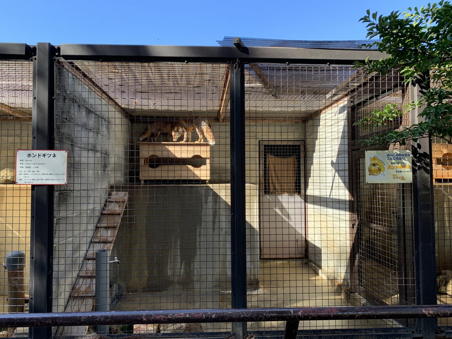 Red Fox Enclosure (Himeji City Zoo)