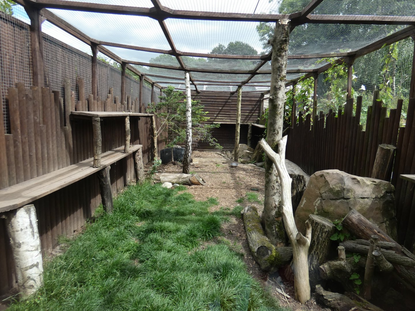 Red fox enclosure