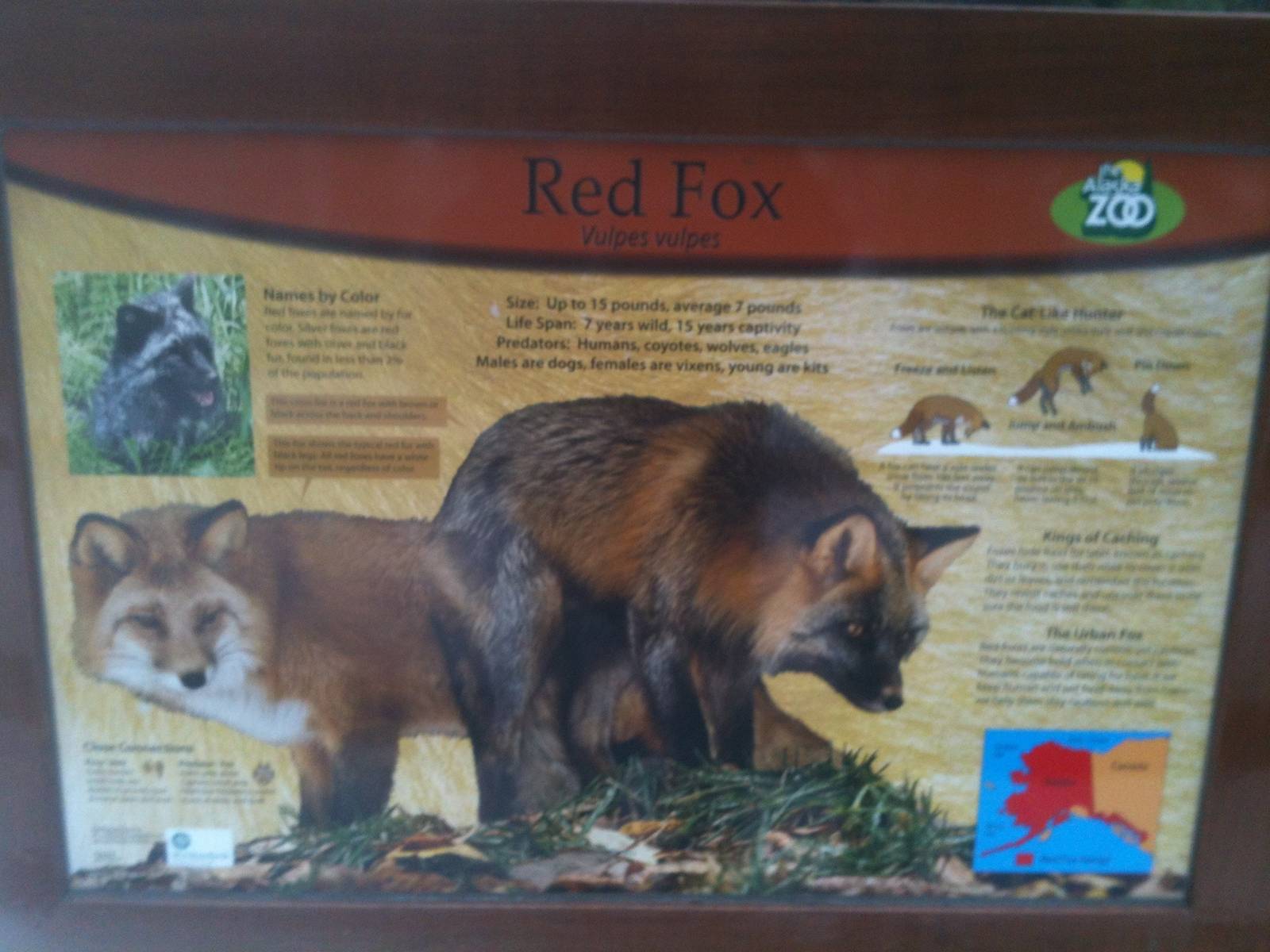 Red Fox Esucational Sign