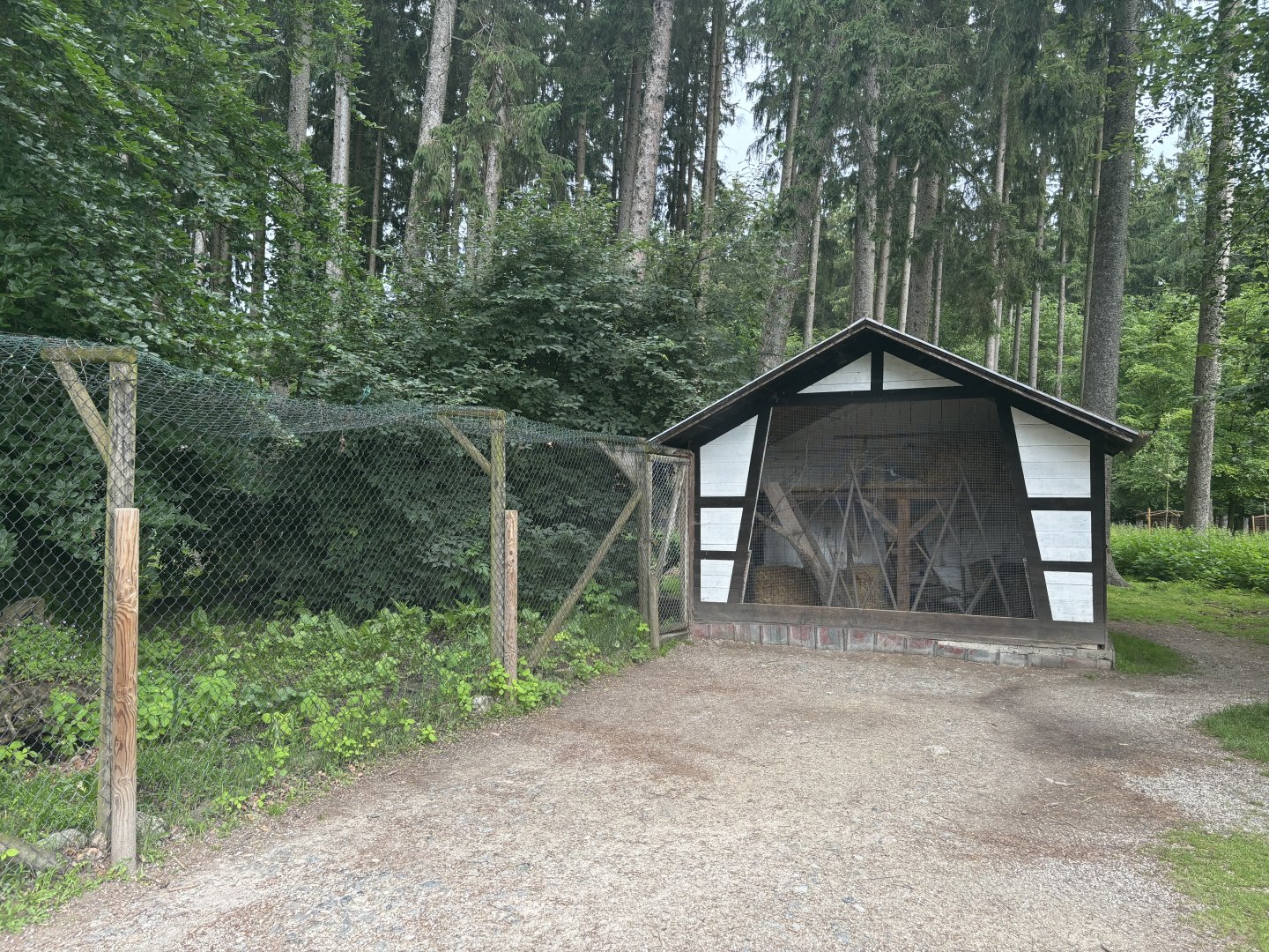 Red Fox/European Badger Enclosure at at Wildpark Poing