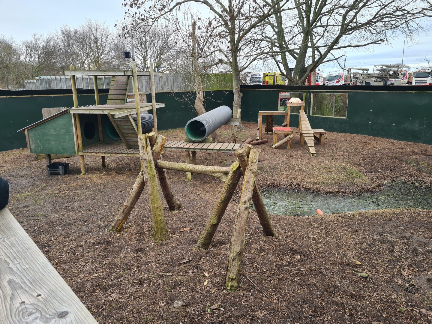 Red Fox Exhibit, Fenn Bell