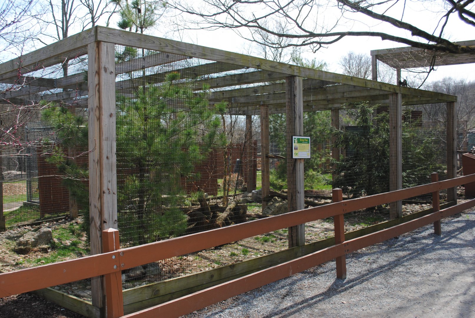 Red Fox Exhibit (labeled "Gray Fox")