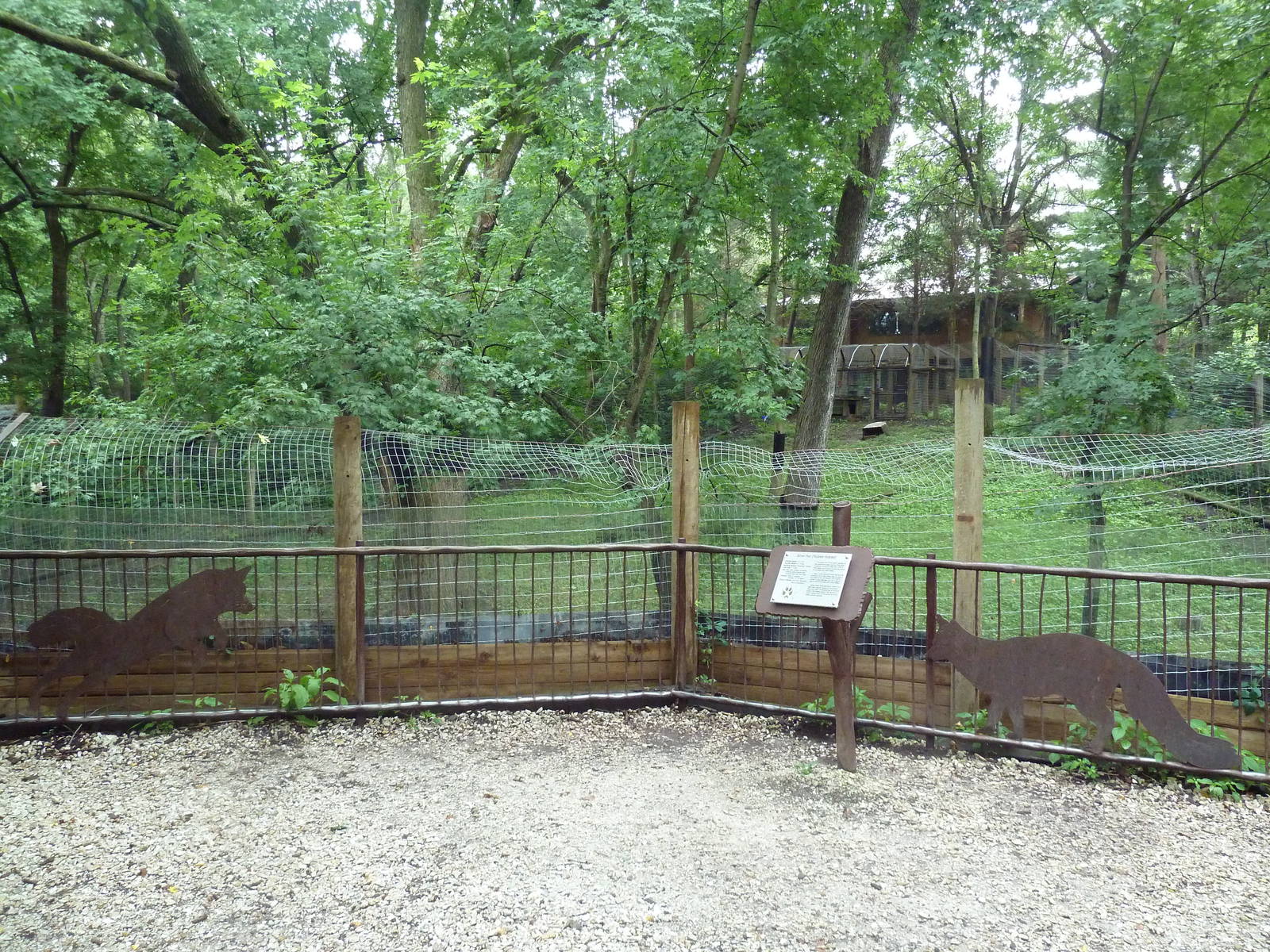 Red Fox Exhibit (Silver Phase) - Viewing Platform