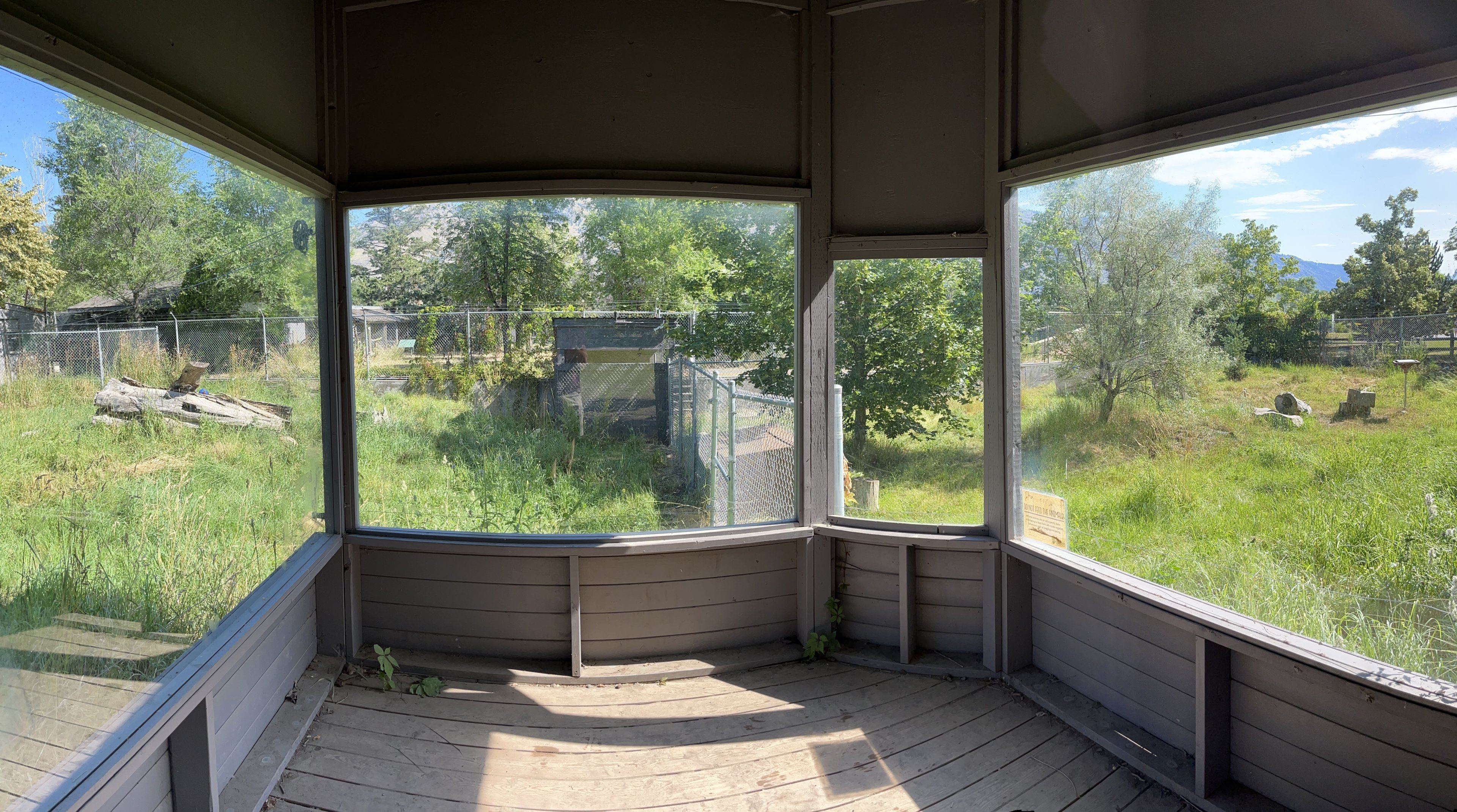 Red Fox Exhibit - viewing area