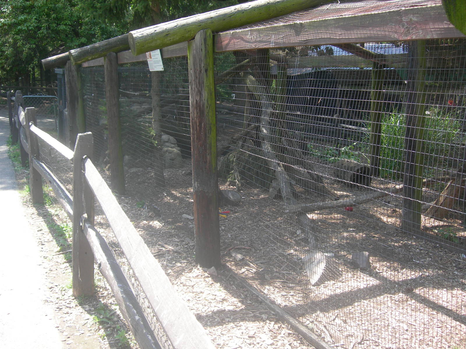 Red Fox exhibit