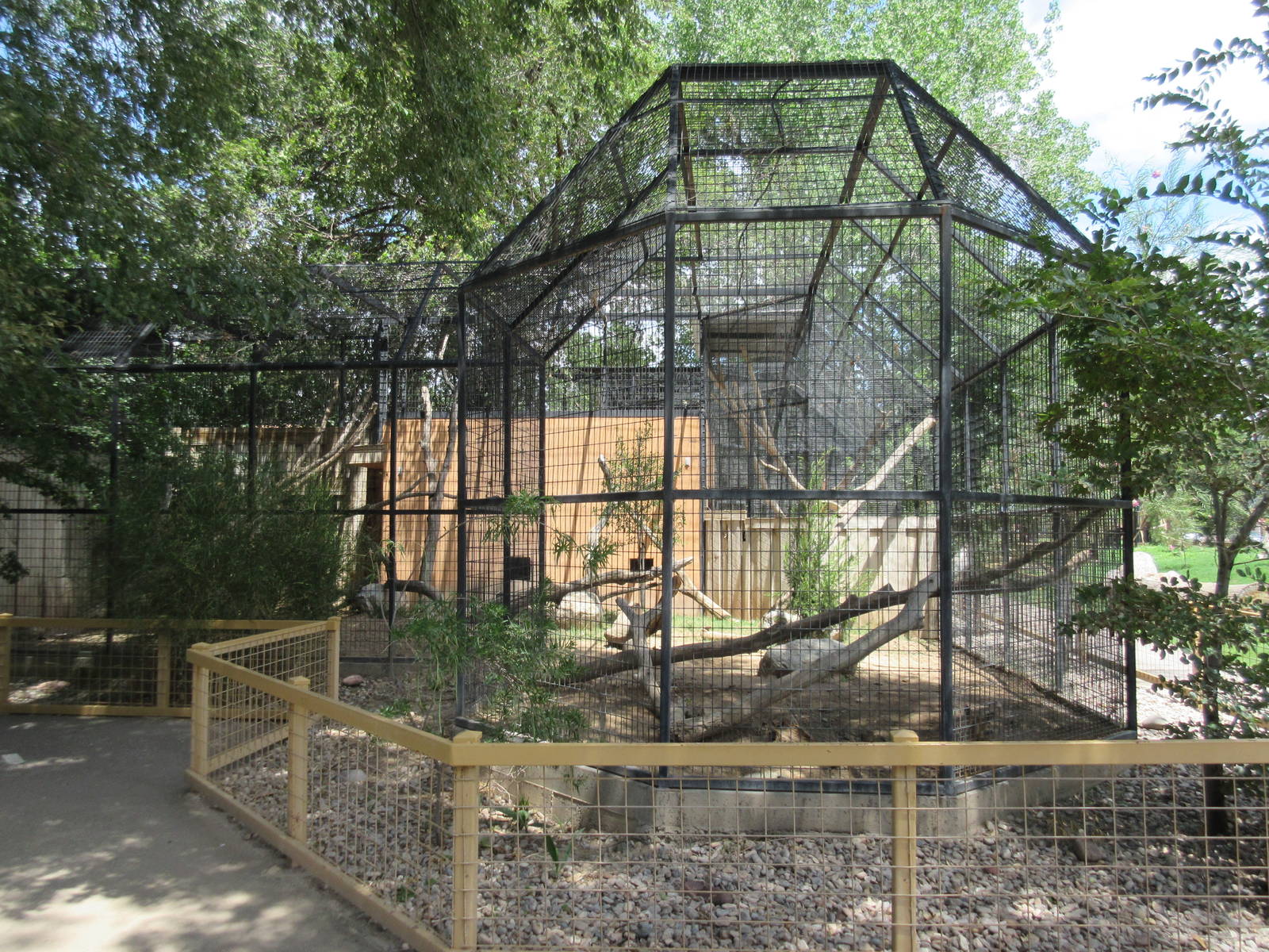 Red Fox Exhibit