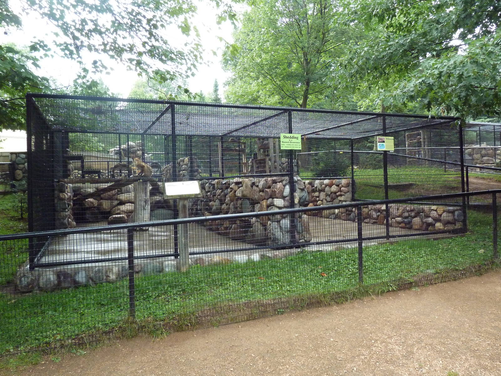 Red Fox + Grey Fox Exhibits