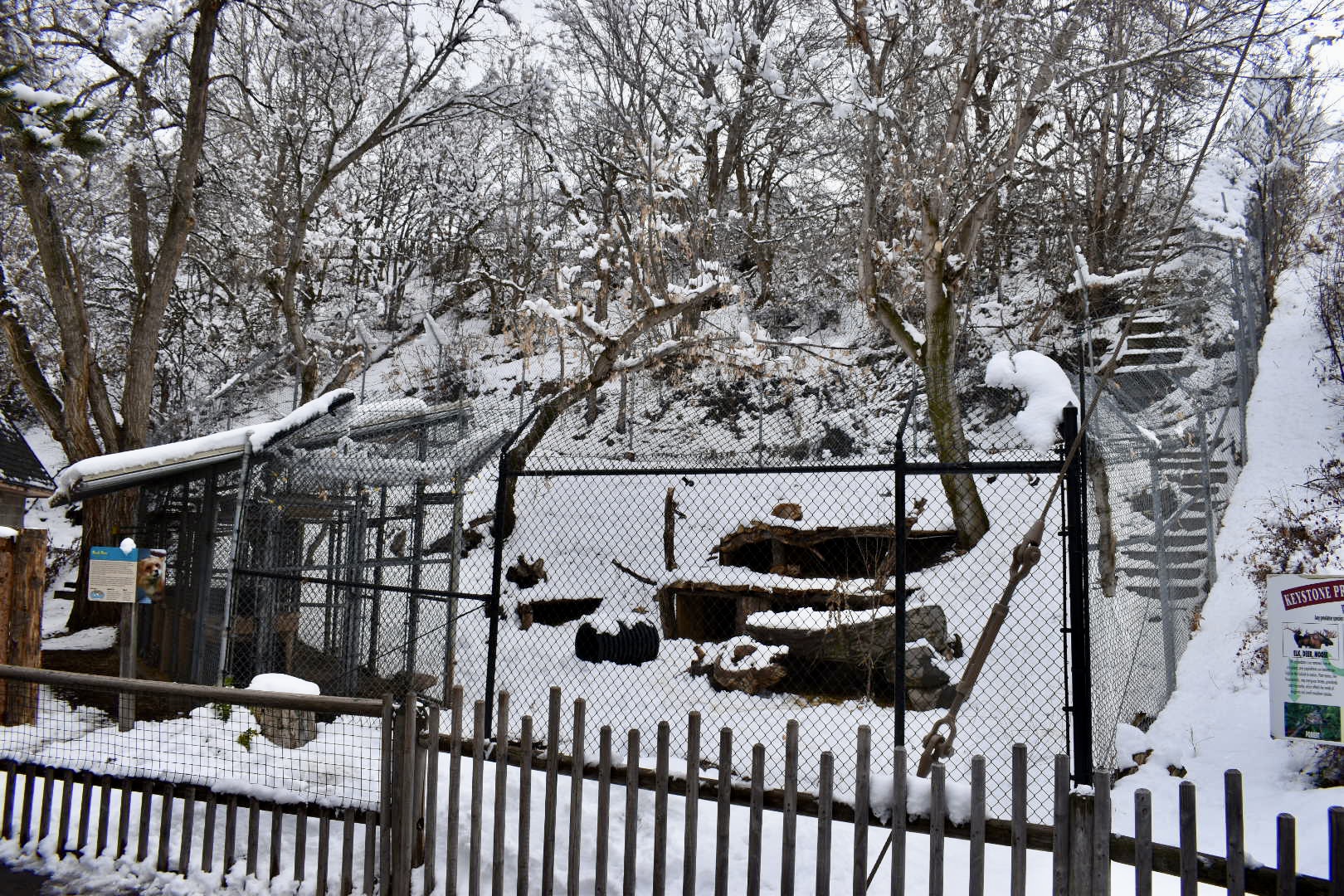 Red Fox Habitat - Small Animal Building