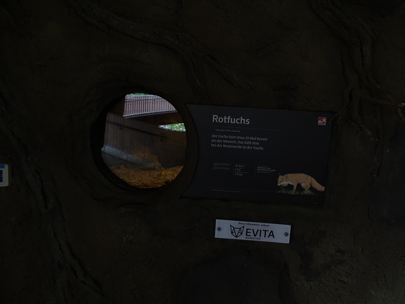 Red fox indoor enclosure / burrow