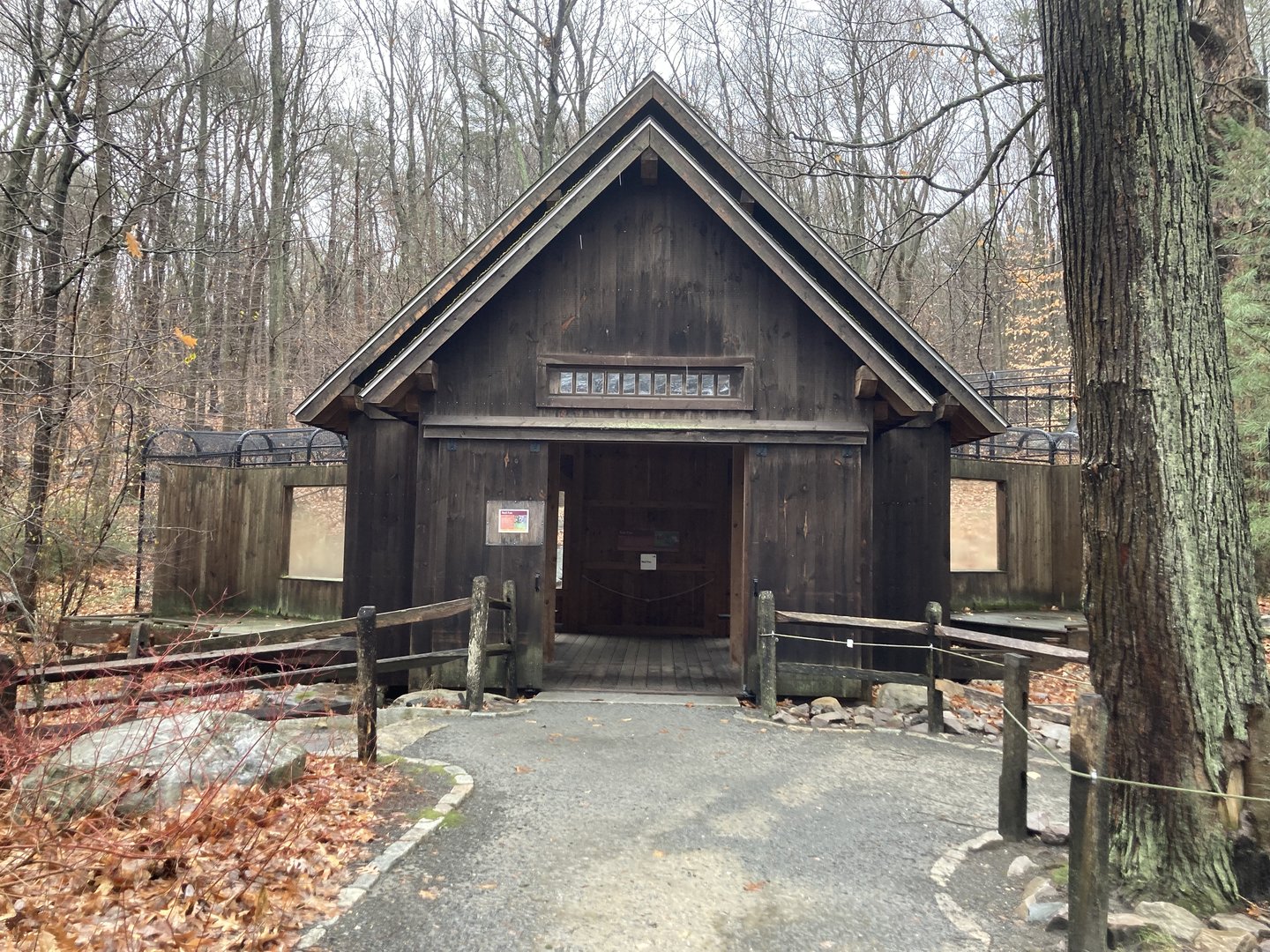 Red Fox Lookout Shelter