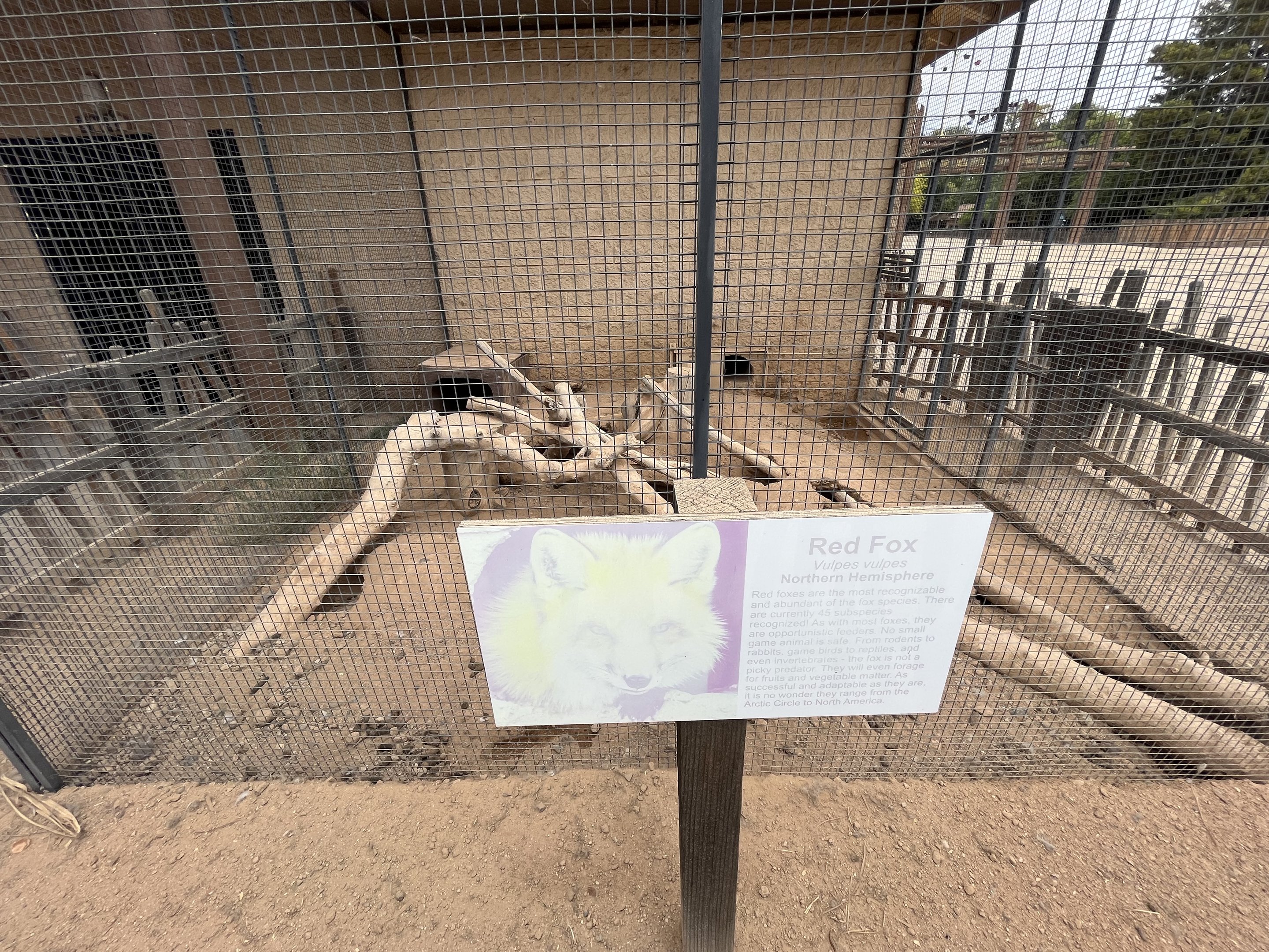 Red Fox Outdoor Exhibit