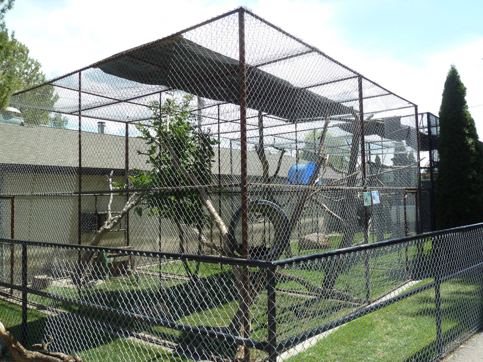 Red Fox + Rock Hyrax Exhibits