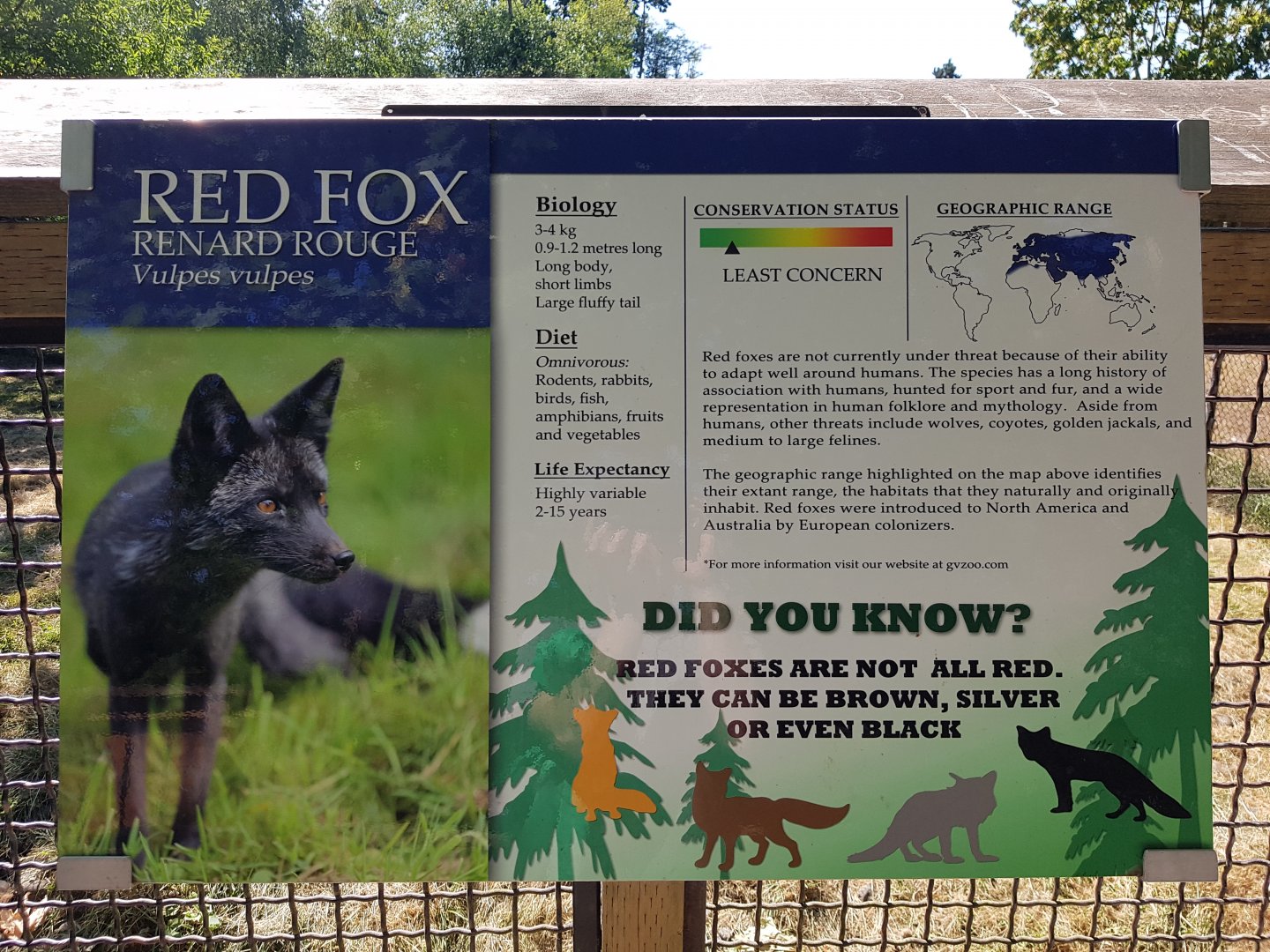 Red Fox Sign