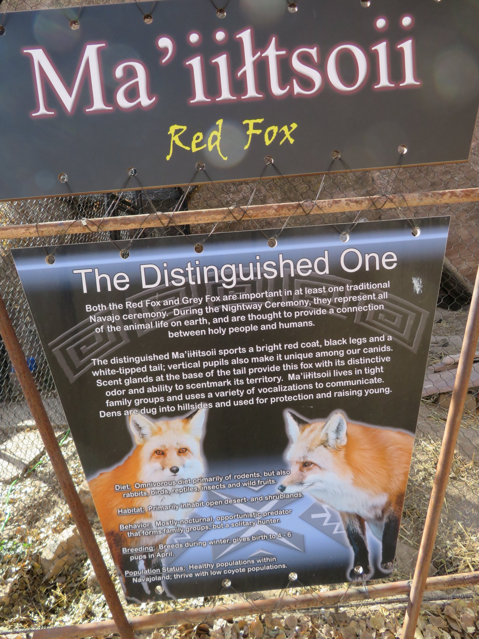 Red Fox Signage