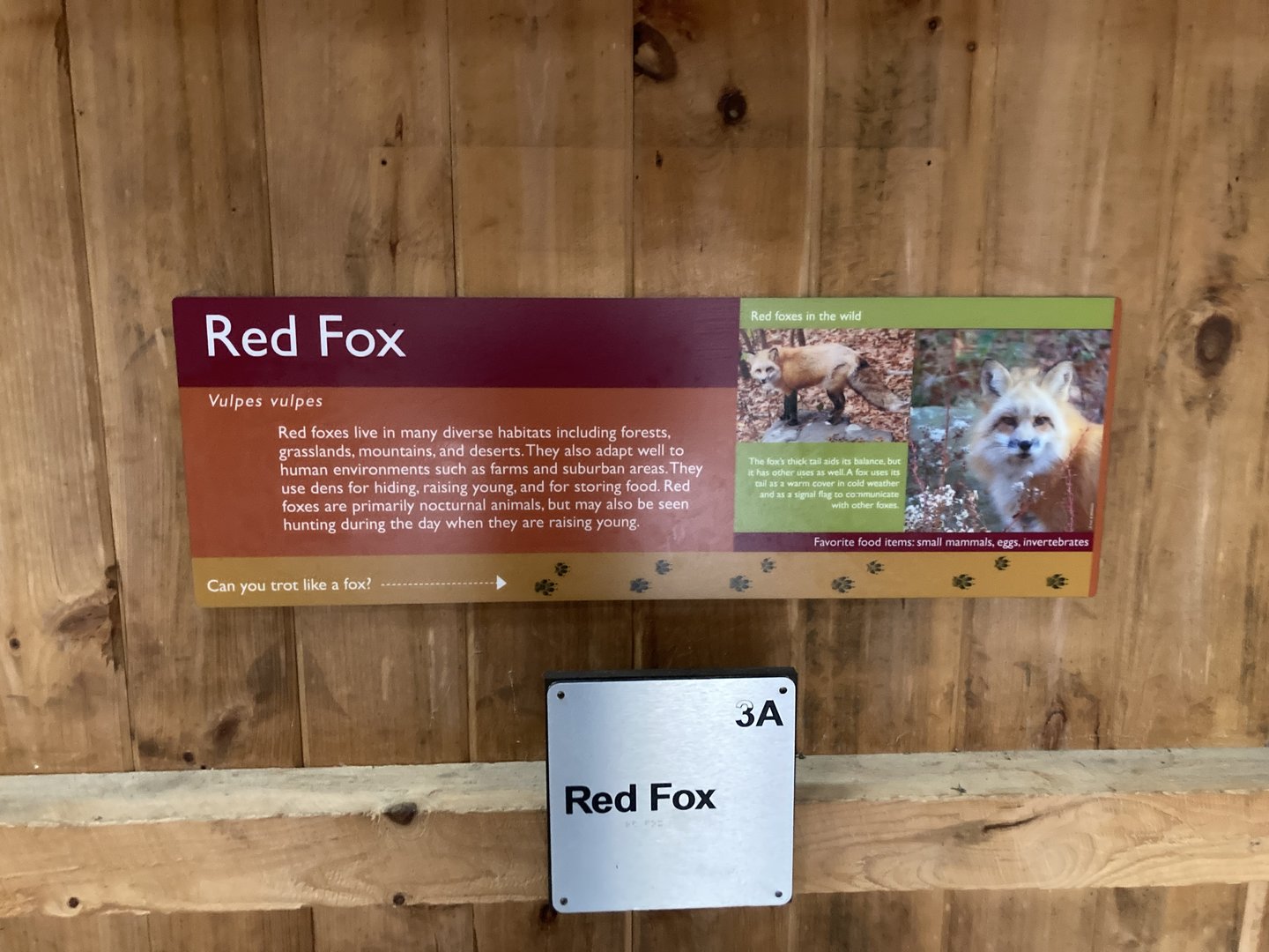 Red Fox Signage