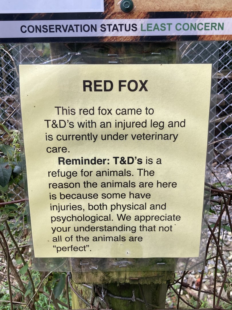Red Fox signage