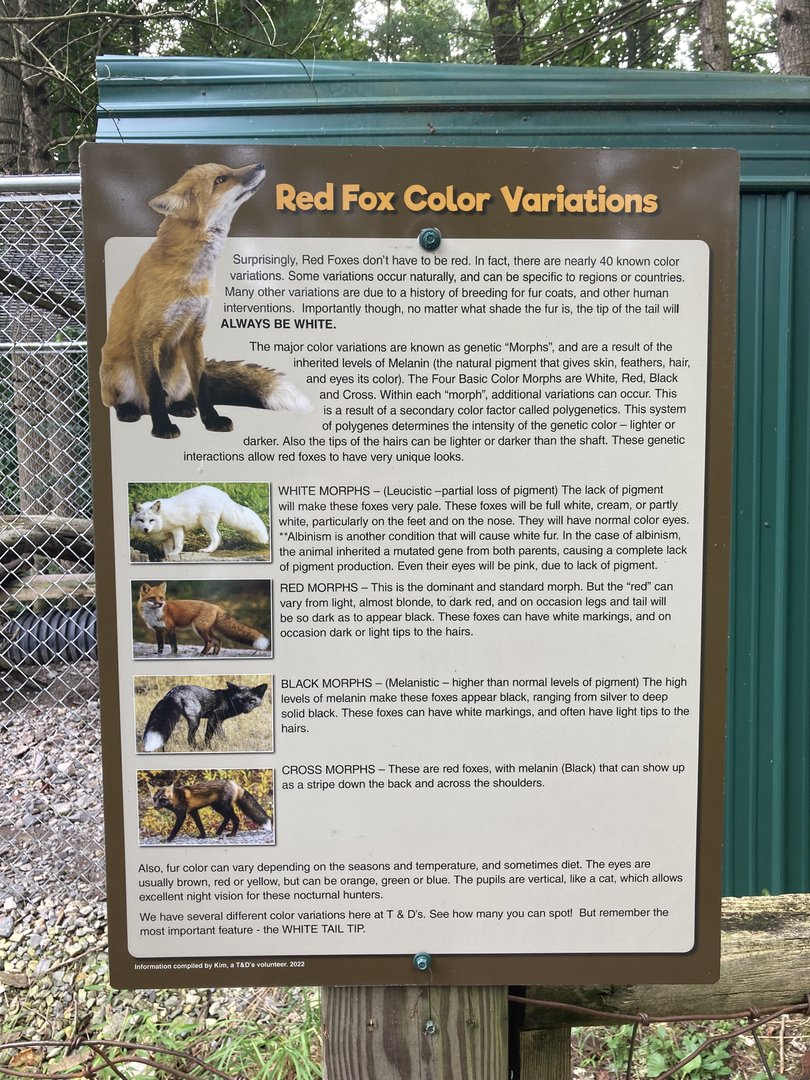 Red Fox variations signage
