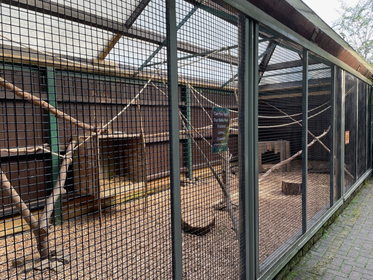 Red-Fronted Brown Lemur Enclosure at Ponderosa Zoo (July 2021)
