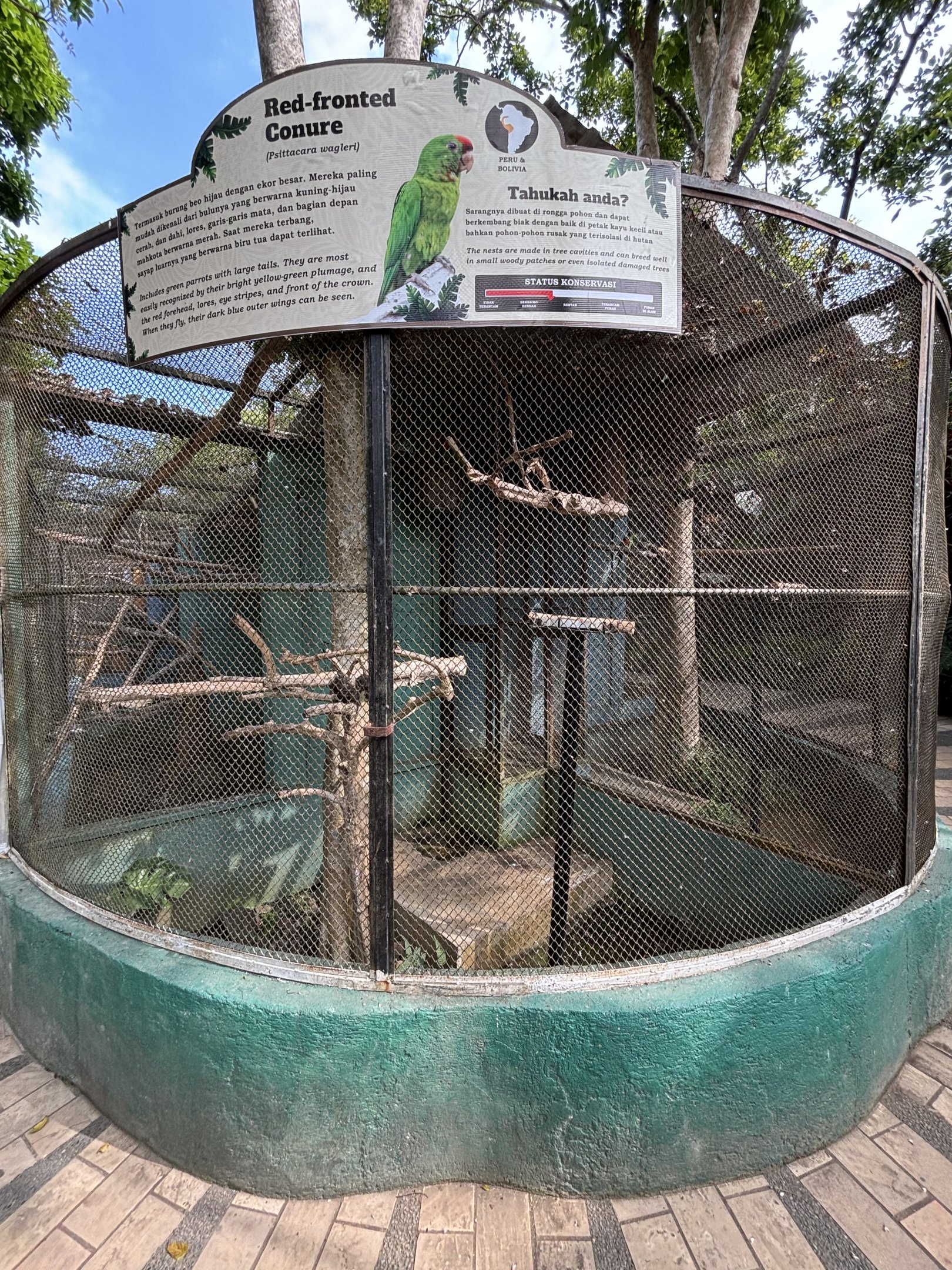 Red-fronted Conure Aviary