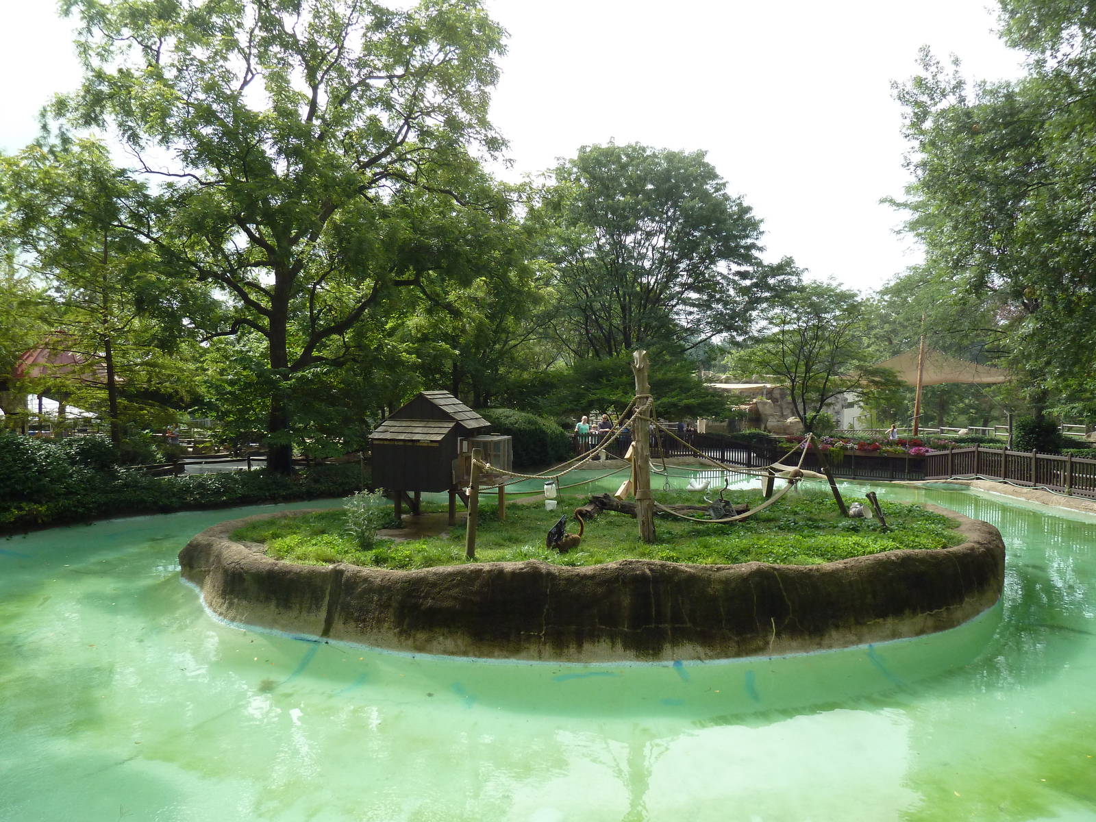 Red-Fronted Lemur Exhibit