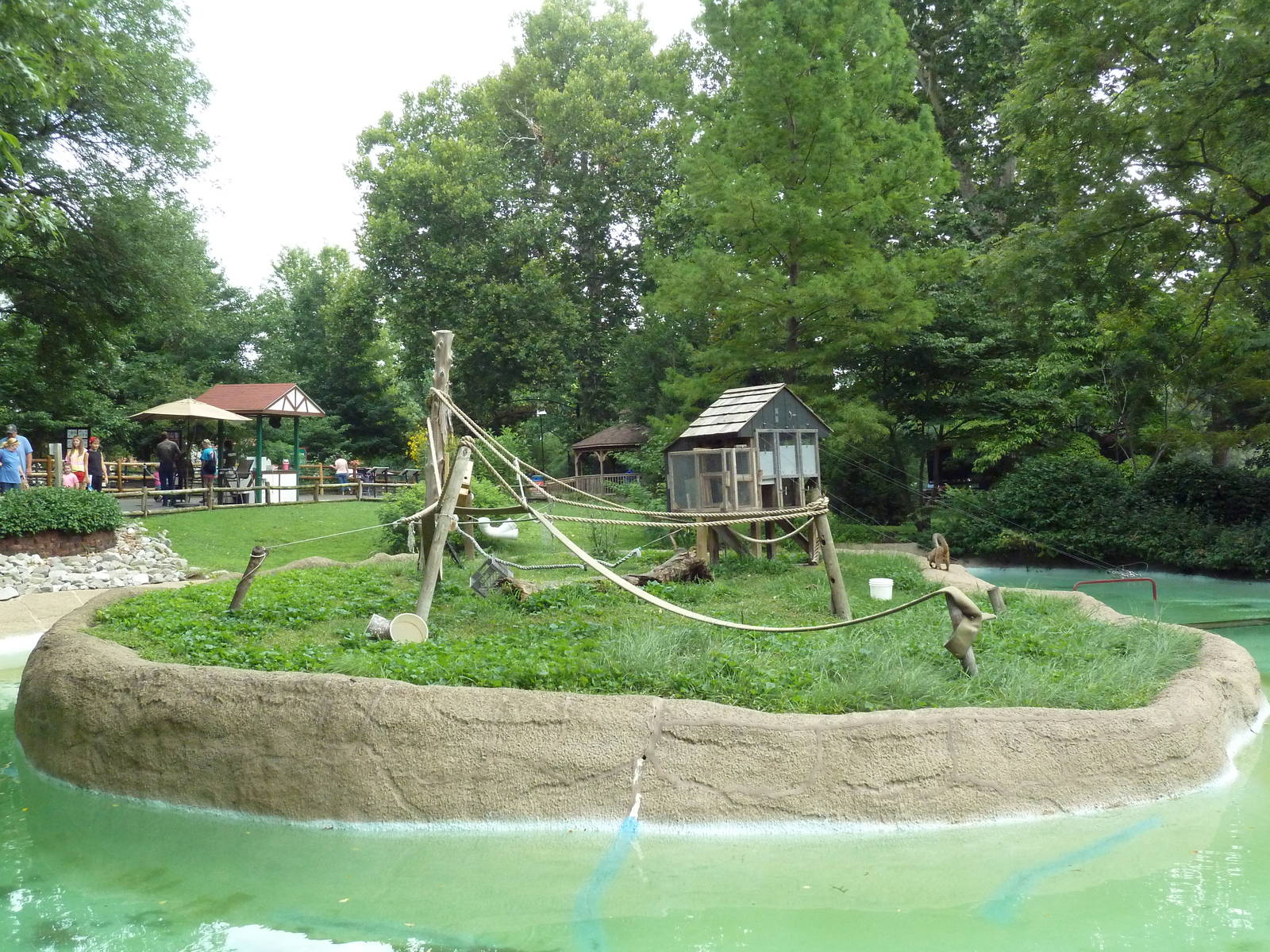 Red-Fronted Lemur Exhibit