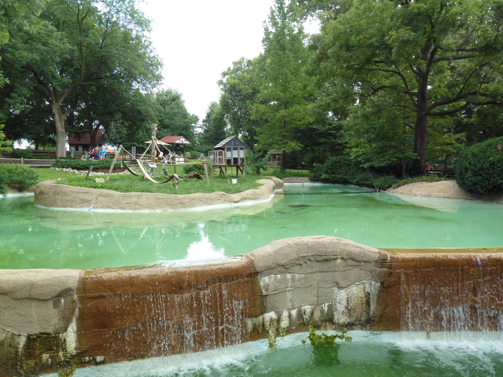 Red-Fronted Lemur Exhibit