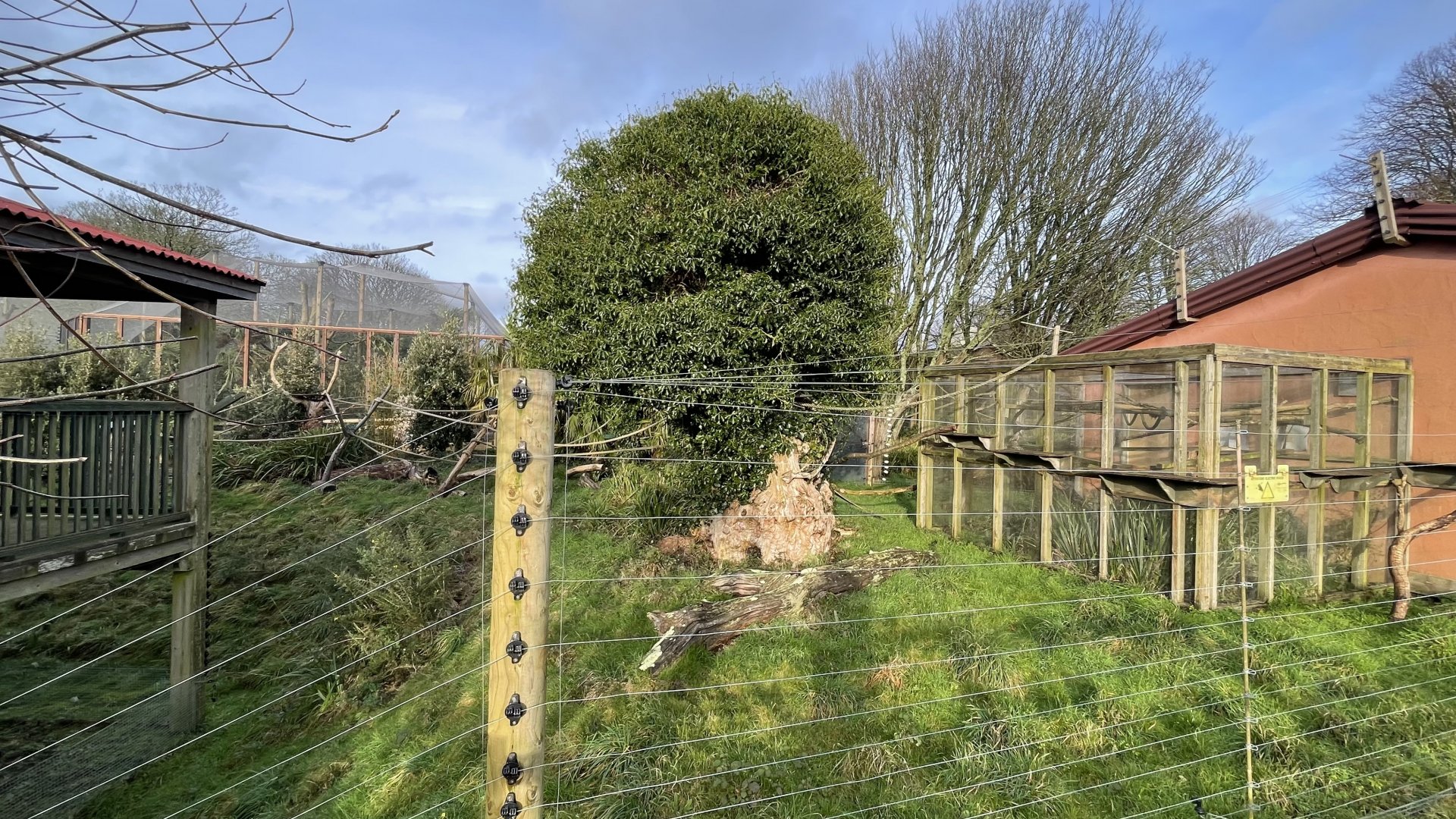 Red fronted lemur exhibit