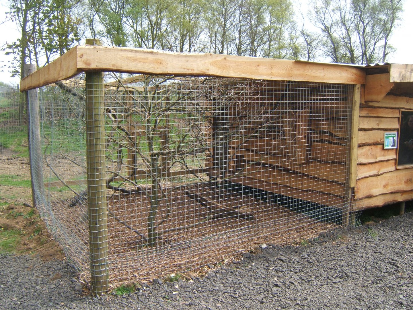 Red-fronted Lemur holding cage