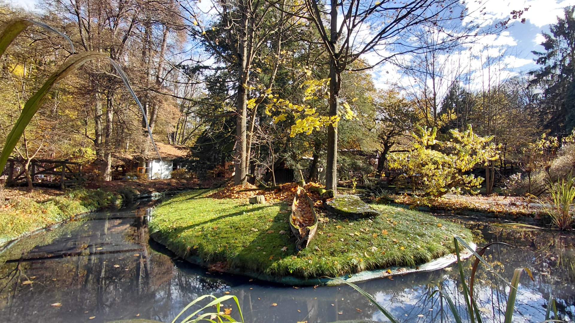 Red-fronted lemur island