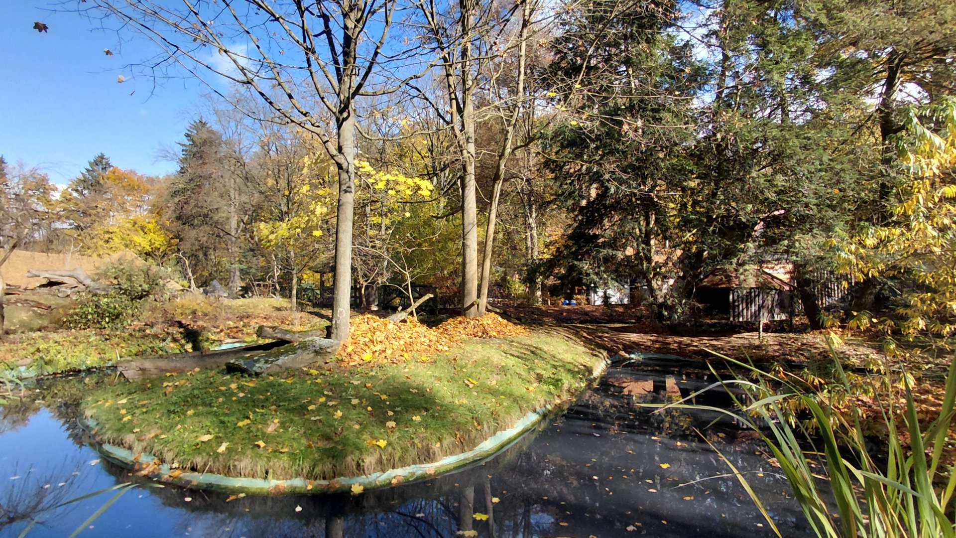 Red-fronted lemur island