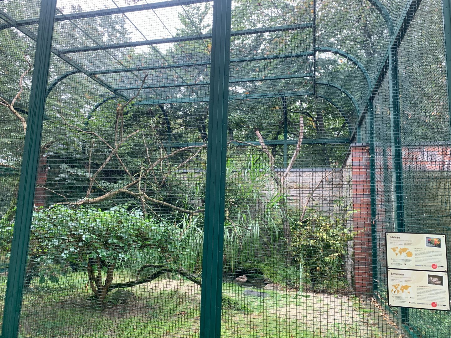 Red-fronted Macaw and Madagascan Teal enclosure