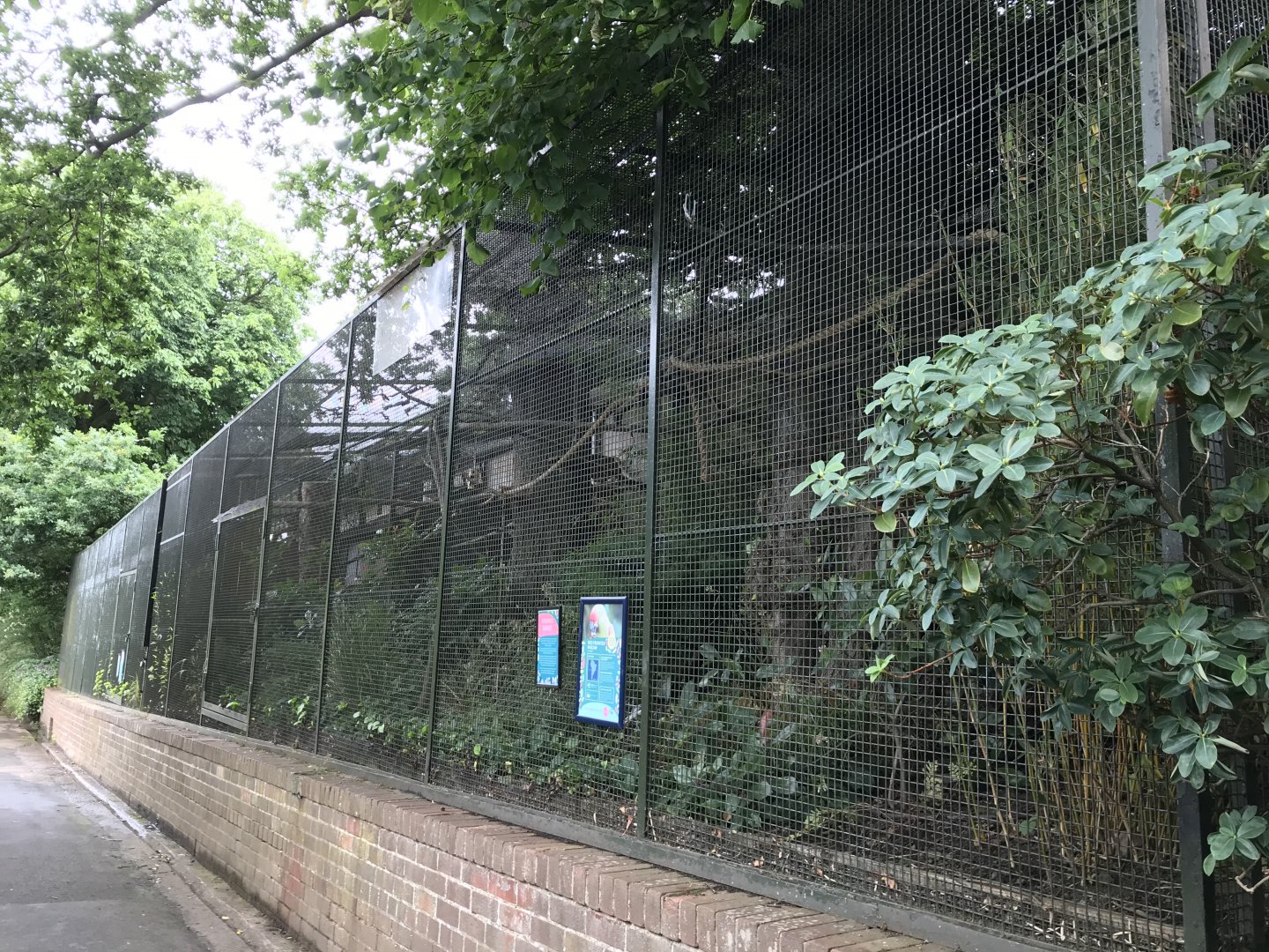 Red fronted macaw aviary