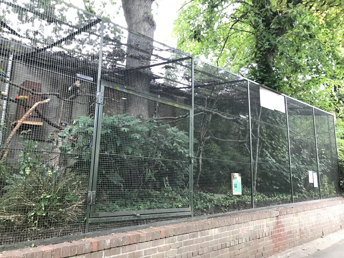 Red fronted macaw aviary