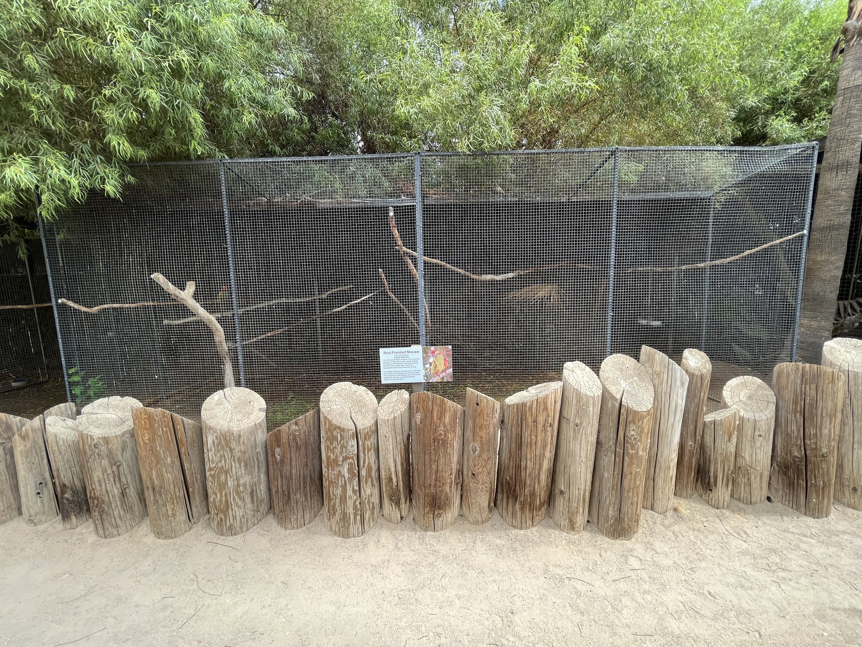 Red-fronted Macaw Aviary