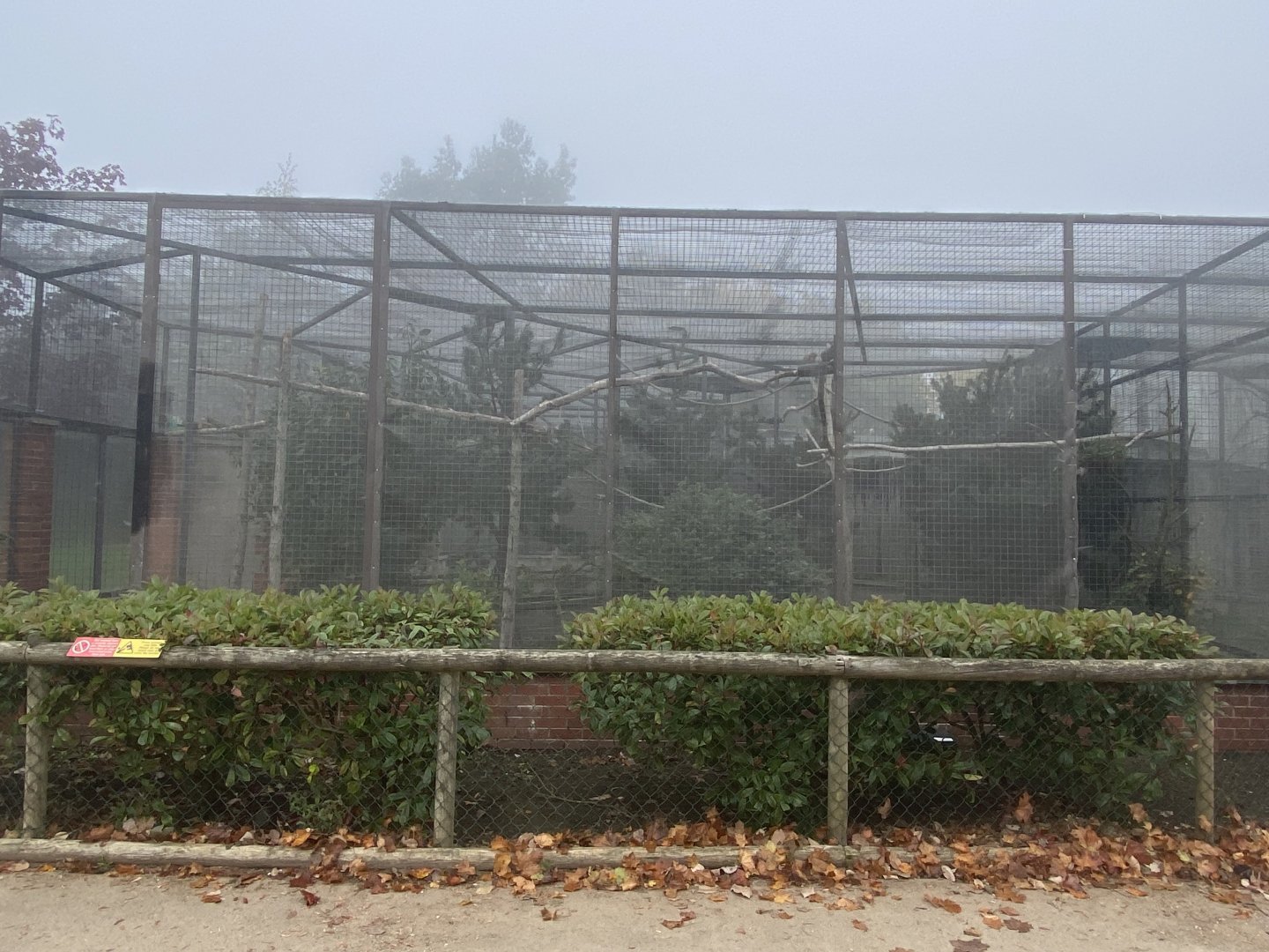 Red fronted macaw aviary