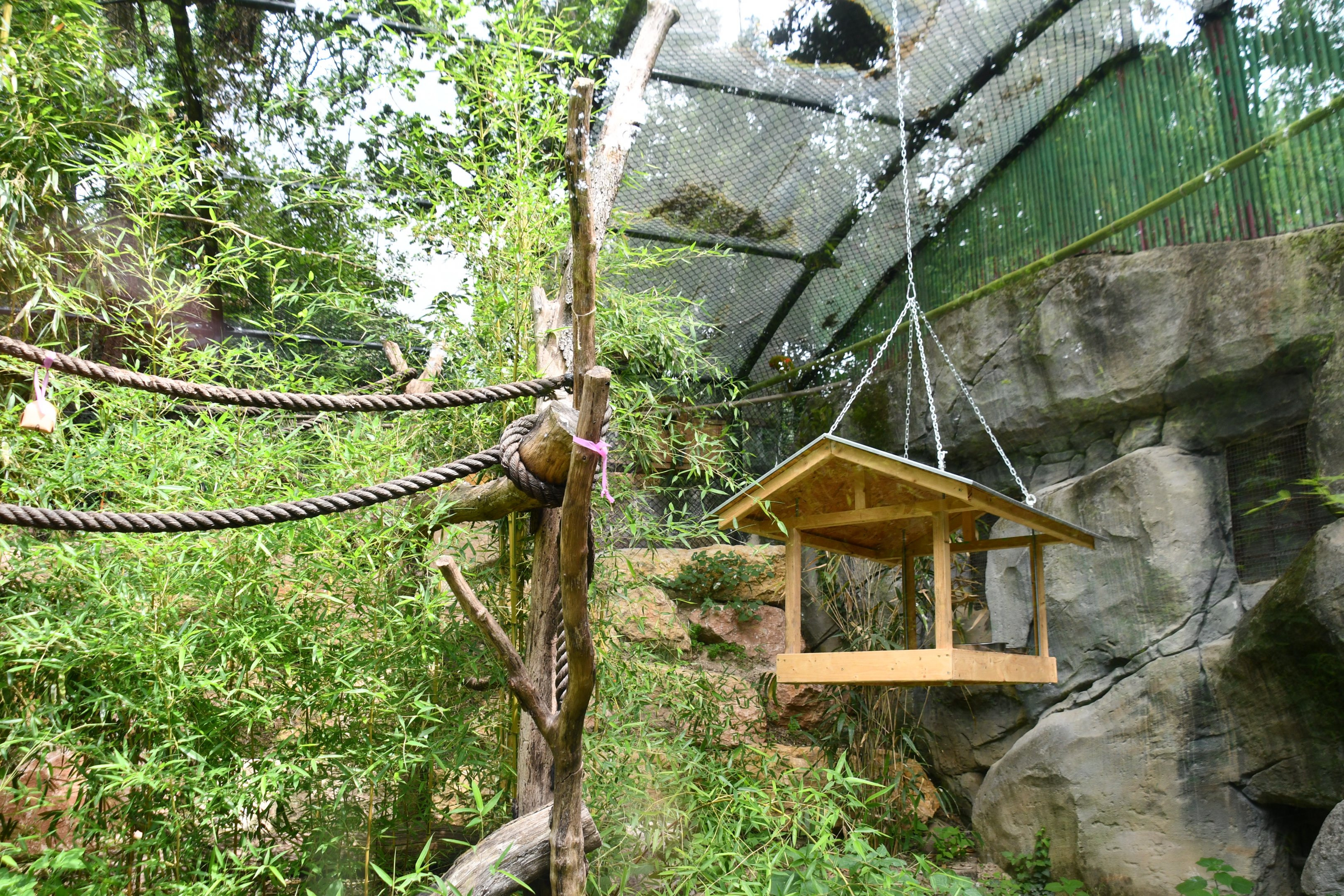 Red-fronted Macaw exhibit