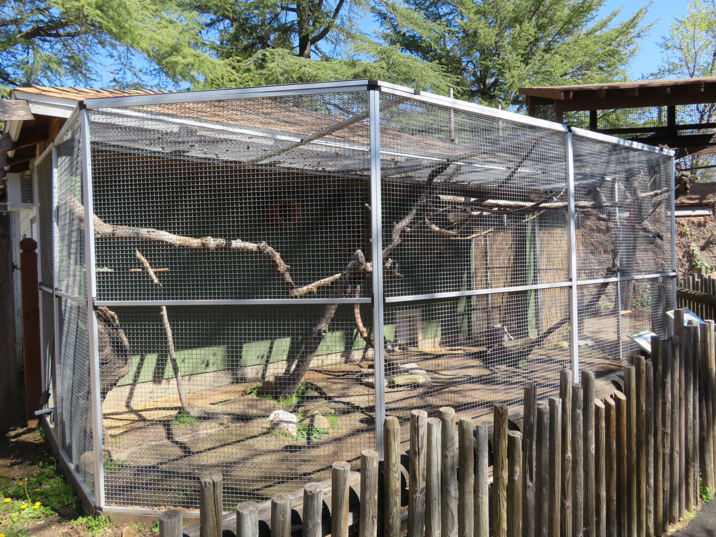 Red-fronted Macaw/White-eared Titi Exhibit