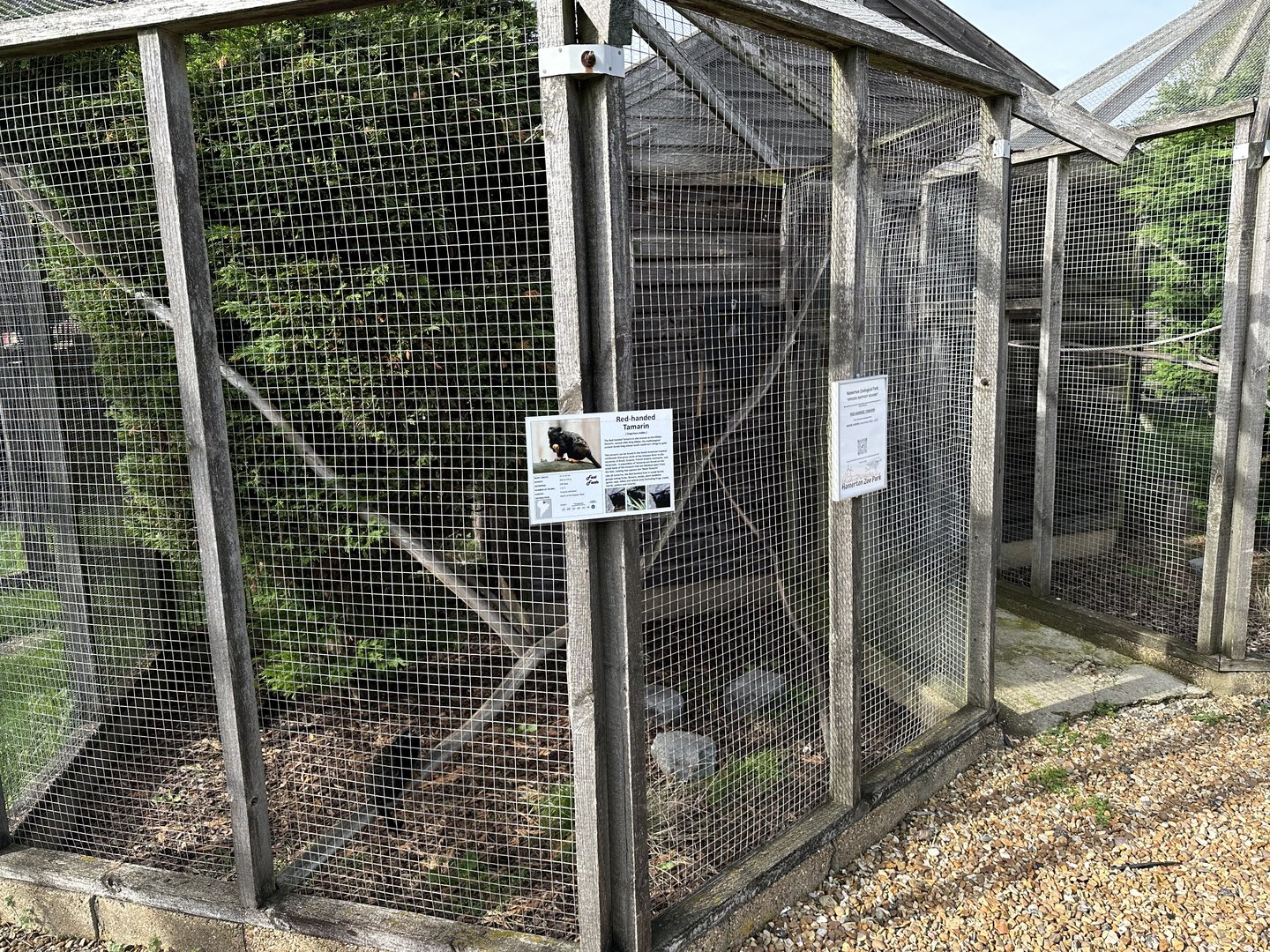 Red-handed Tamarin Enclosure at Hamerton Zoo Park (October 2023)