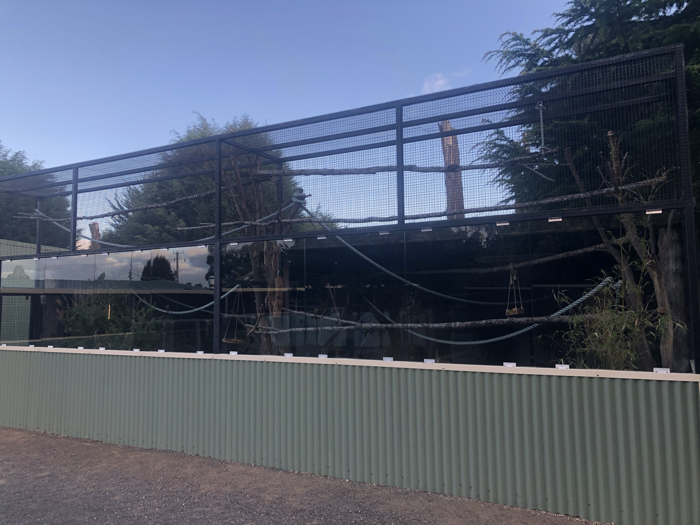 Red-Handed Tamarin enclosure