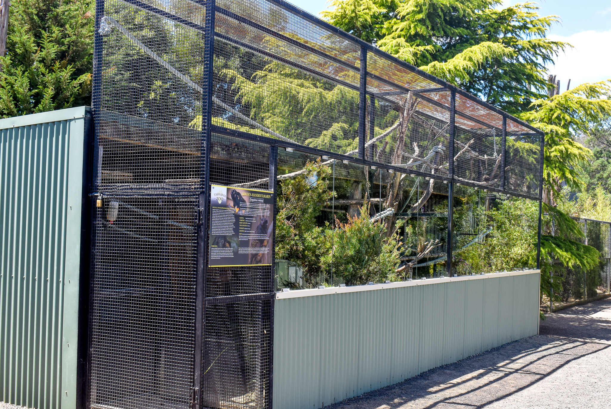 Red-handed Tamarin enclosure