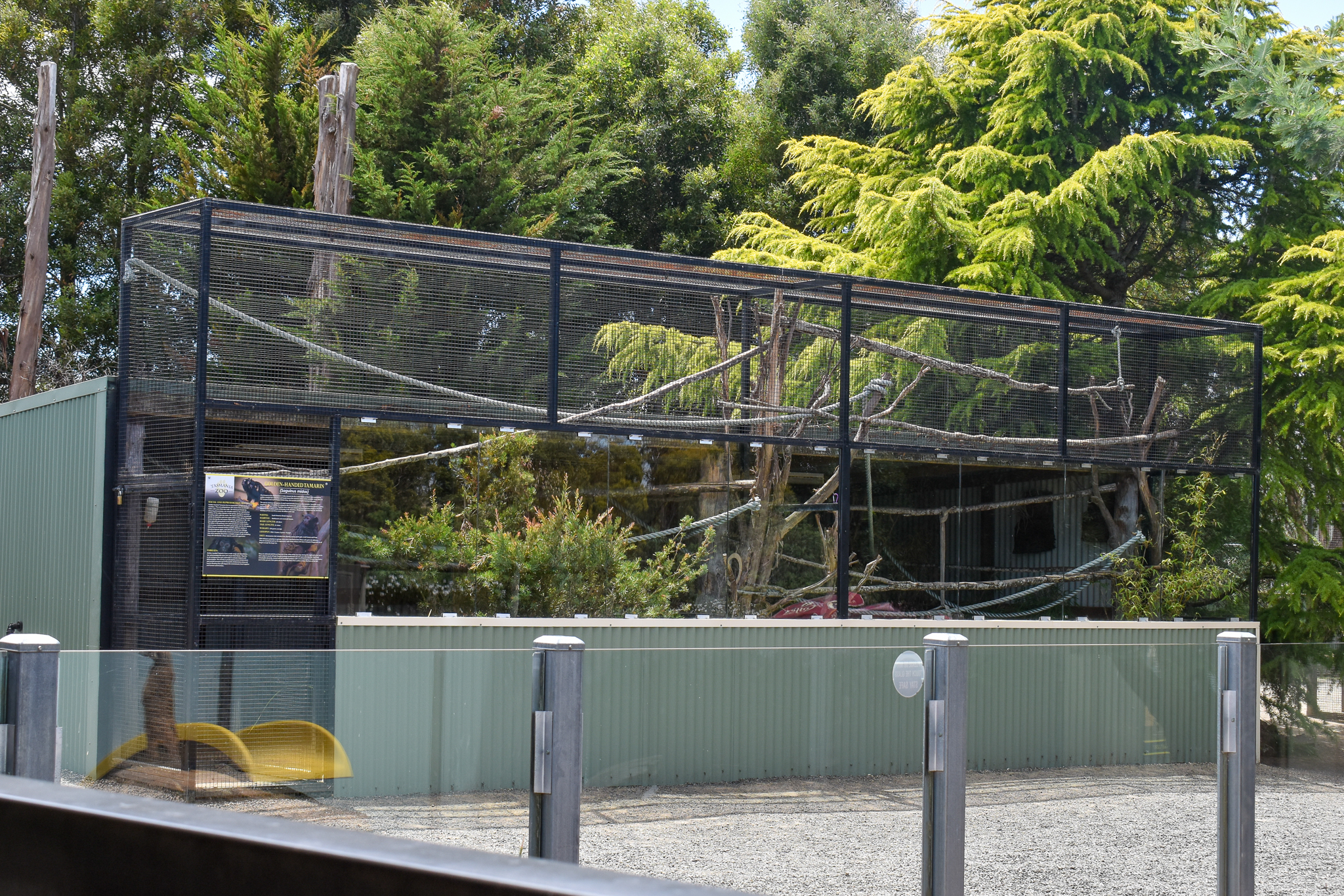 Red-handed Tamarin enclosure