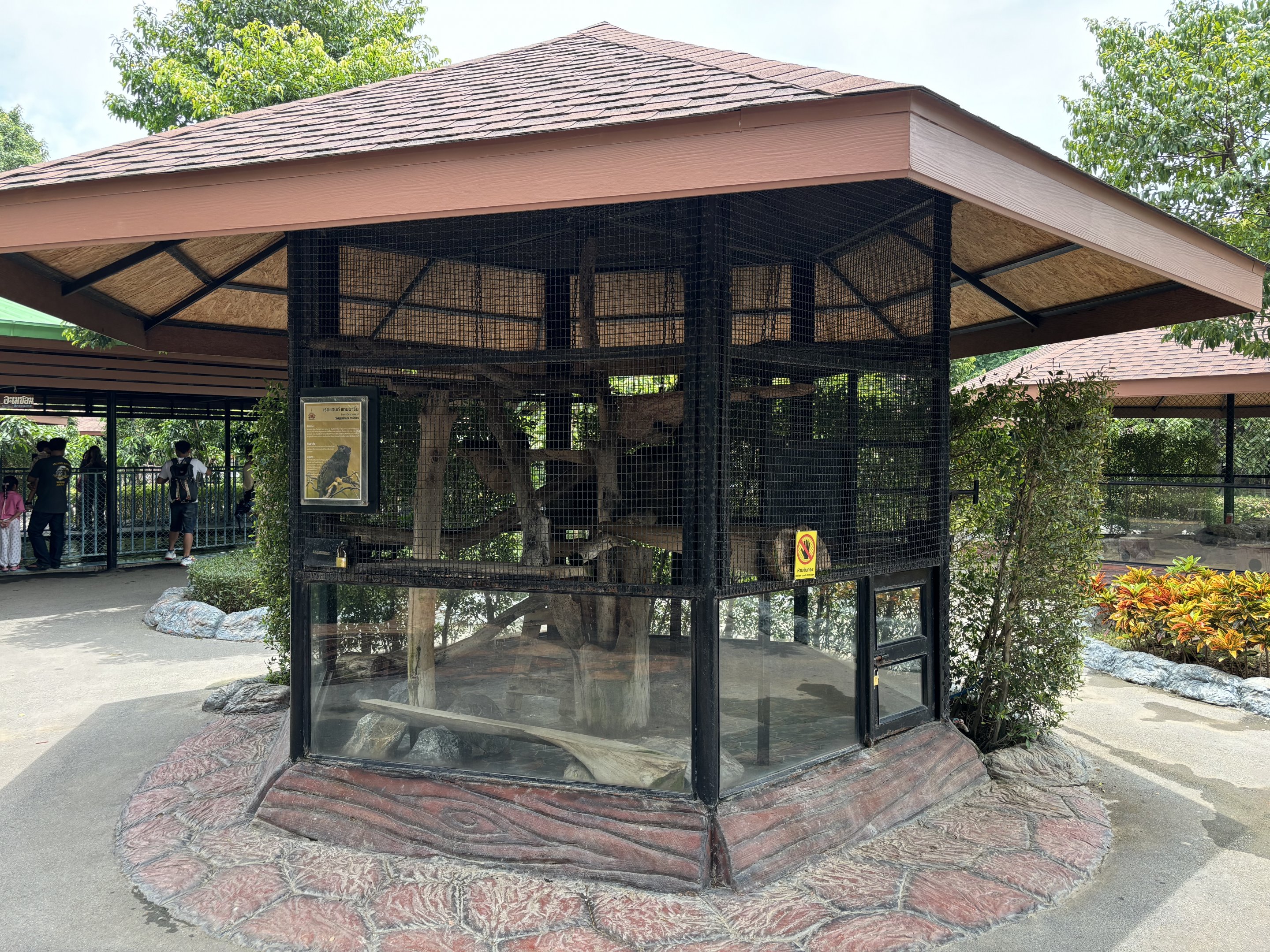 Red-handed Tamarin Exhibit - Lion Park